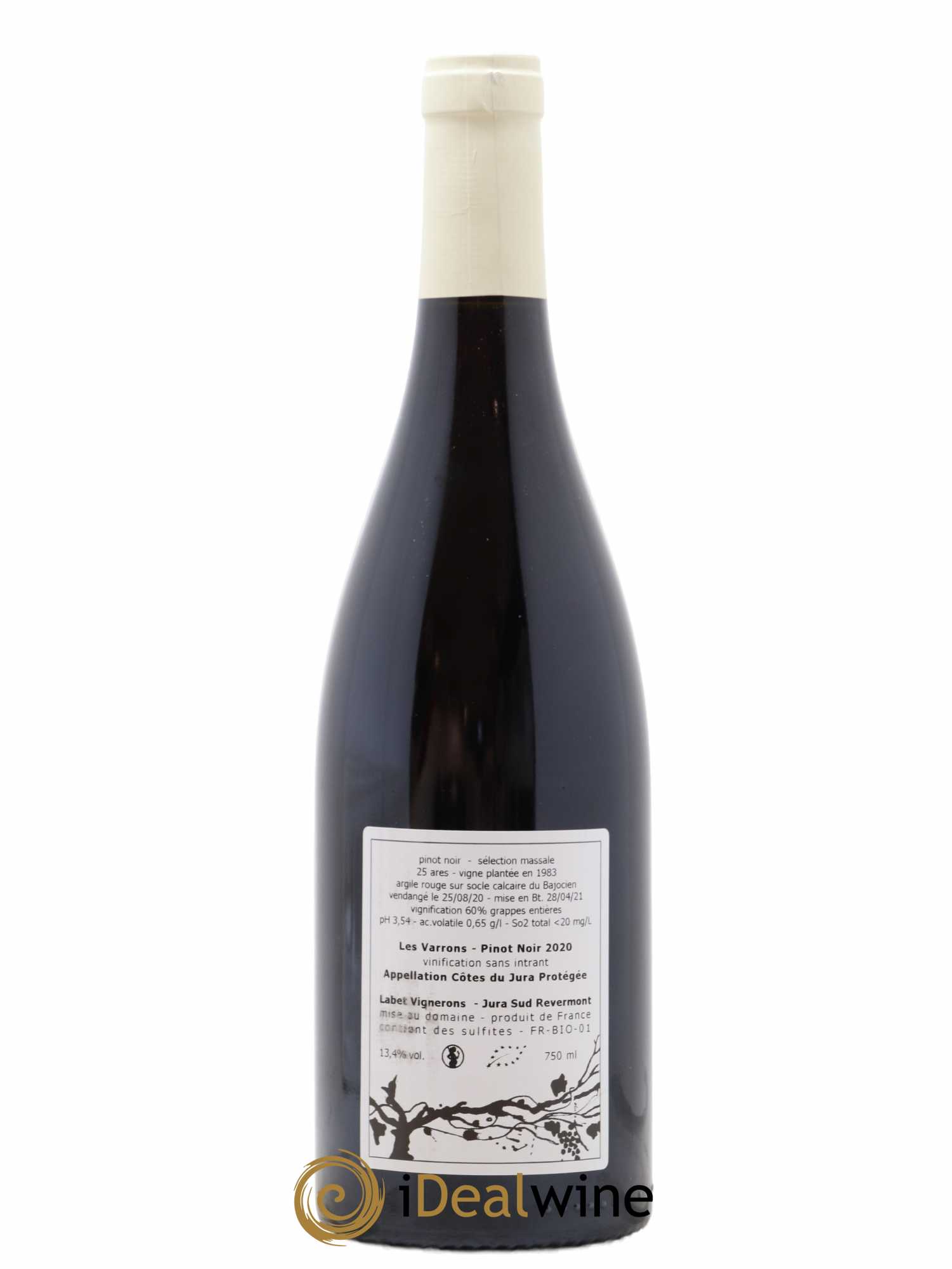 Côtes du Jura Pinot Noir Les Varrons Sélection Massale Romain - Julien  - Charline Labet  2020 - Lotto di 1 bottiglia - 1