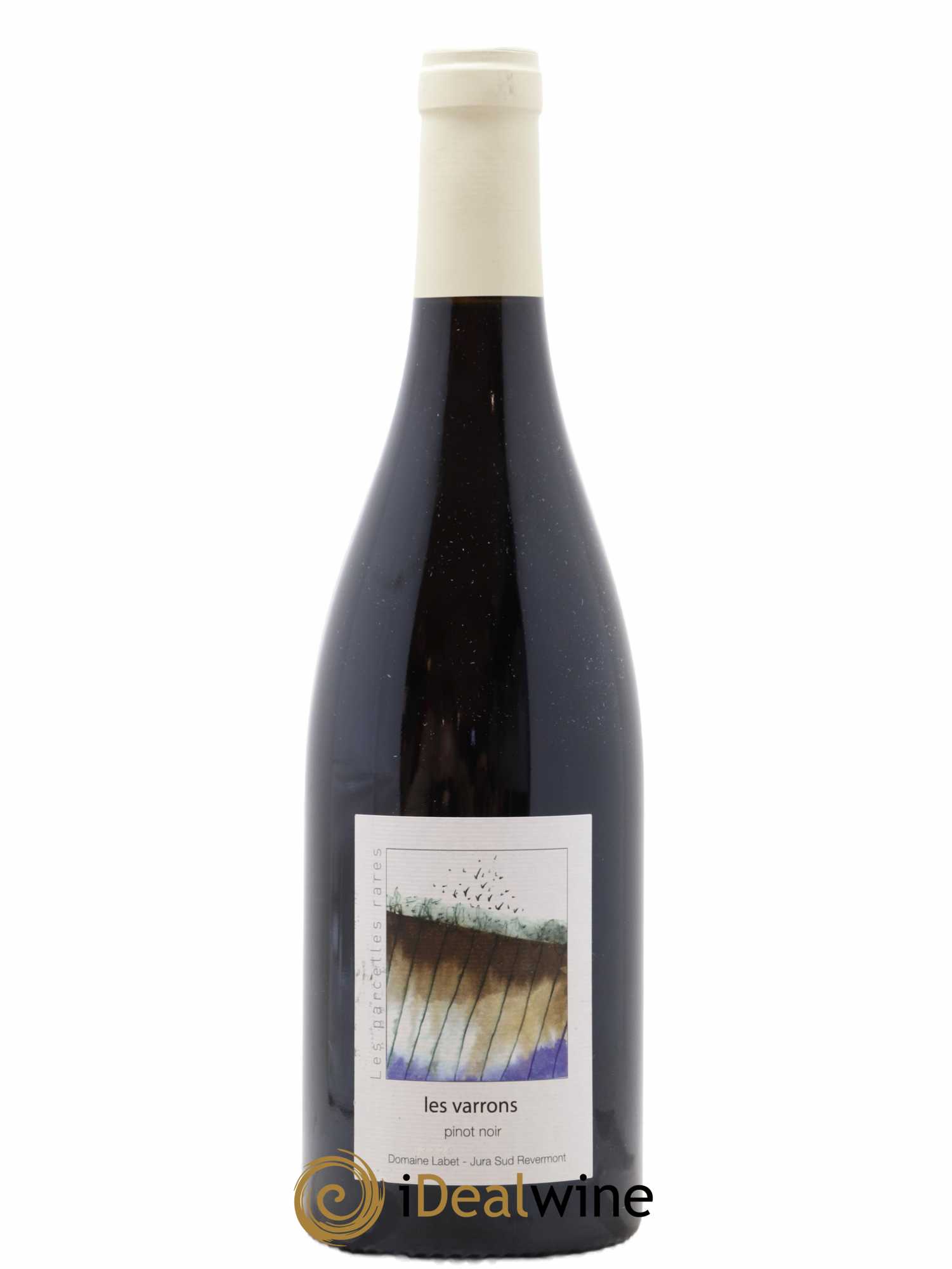 Côtes du Jura Pinot Noir Les Varrons Sélection Massale Romain - Julien  - Charline Labet  2020 - Lotto di 1 bottiglia - 0