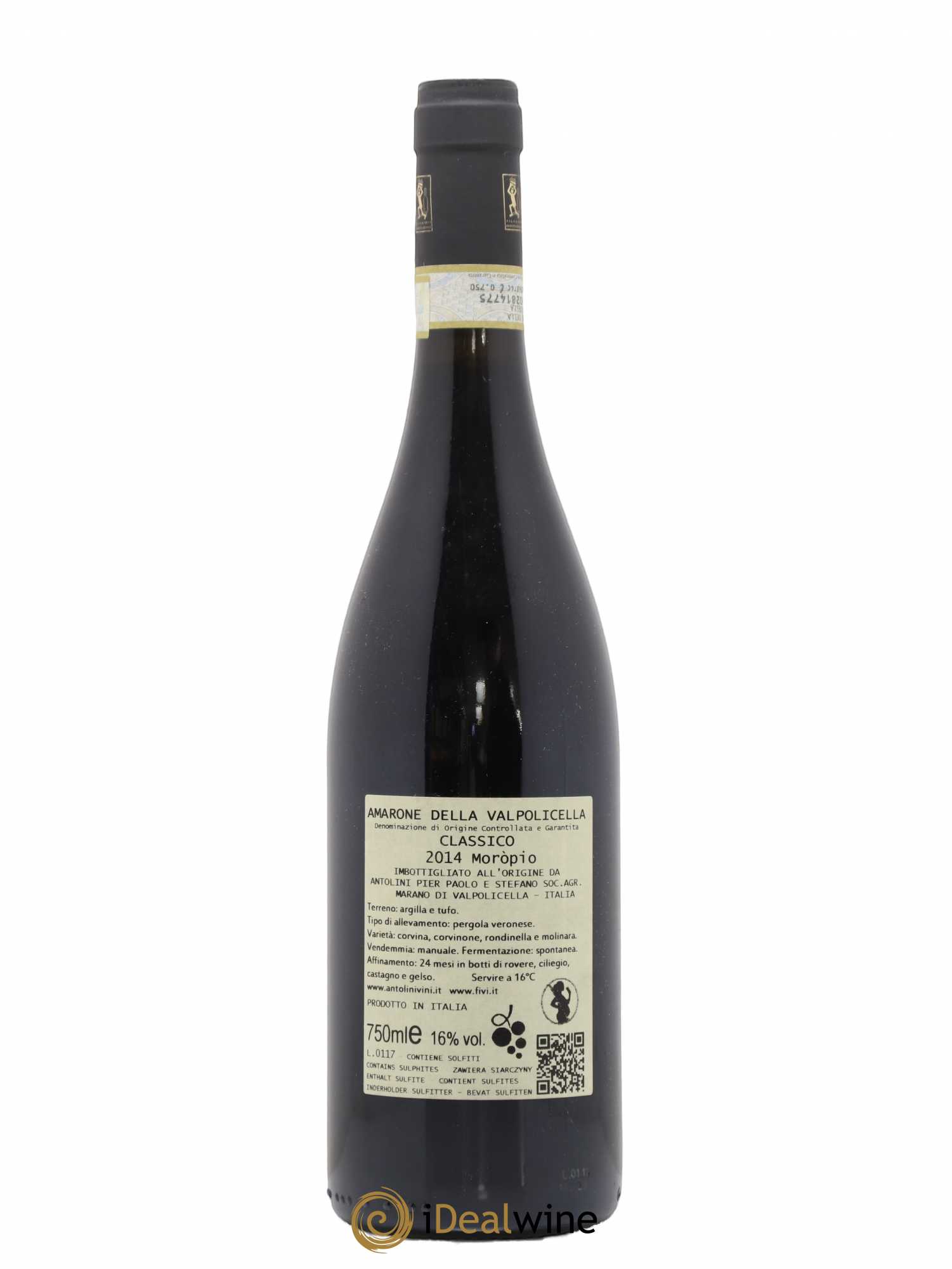 Amarone della Valpolicella DOC Classico Moropio Antolini 2014 - Posten von 1 Flasche - 1