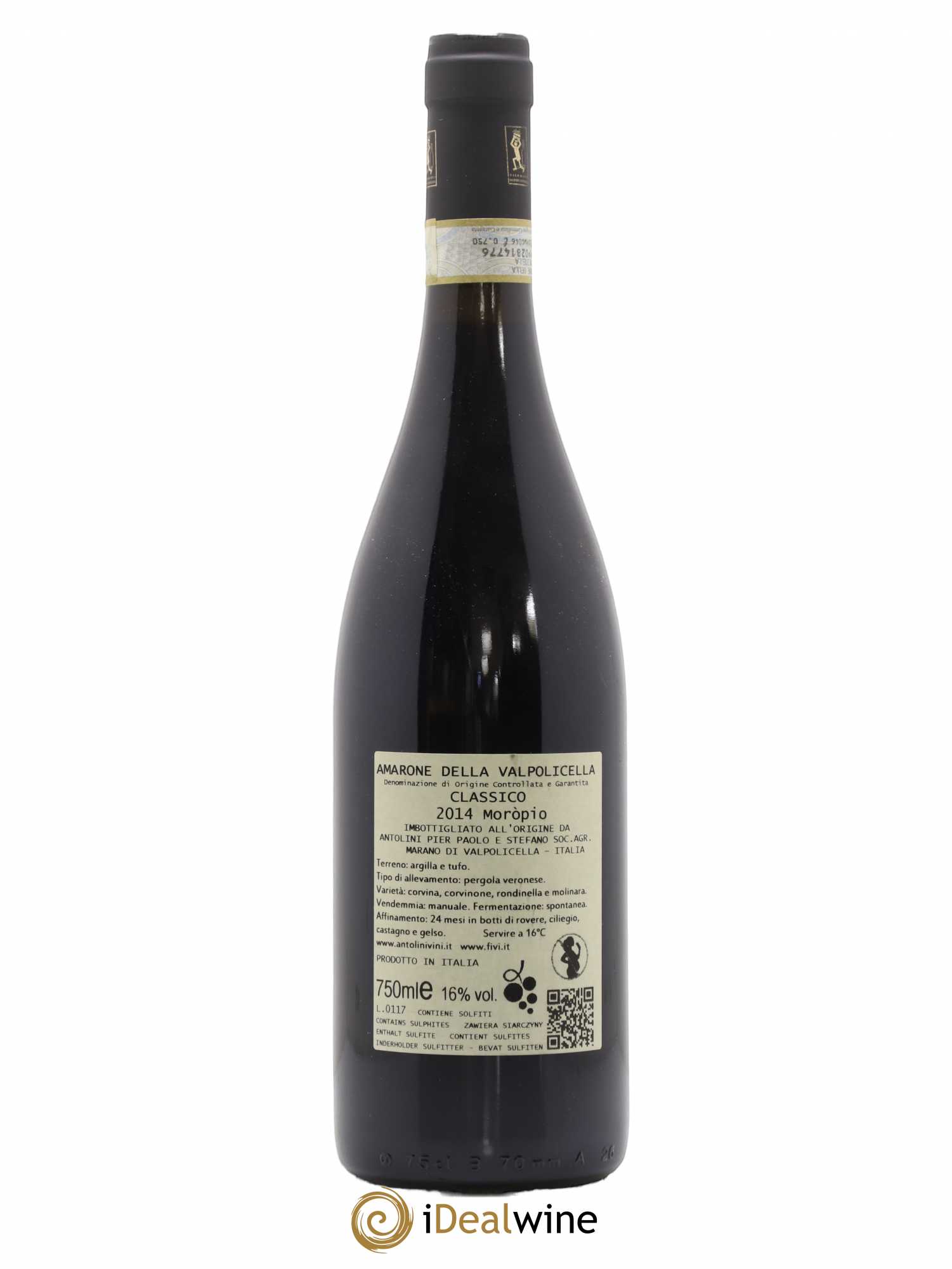 Amarone della Valpolicella DOC Classico Moropio Antolini 2014 - Posten von 1 Flasche - 1