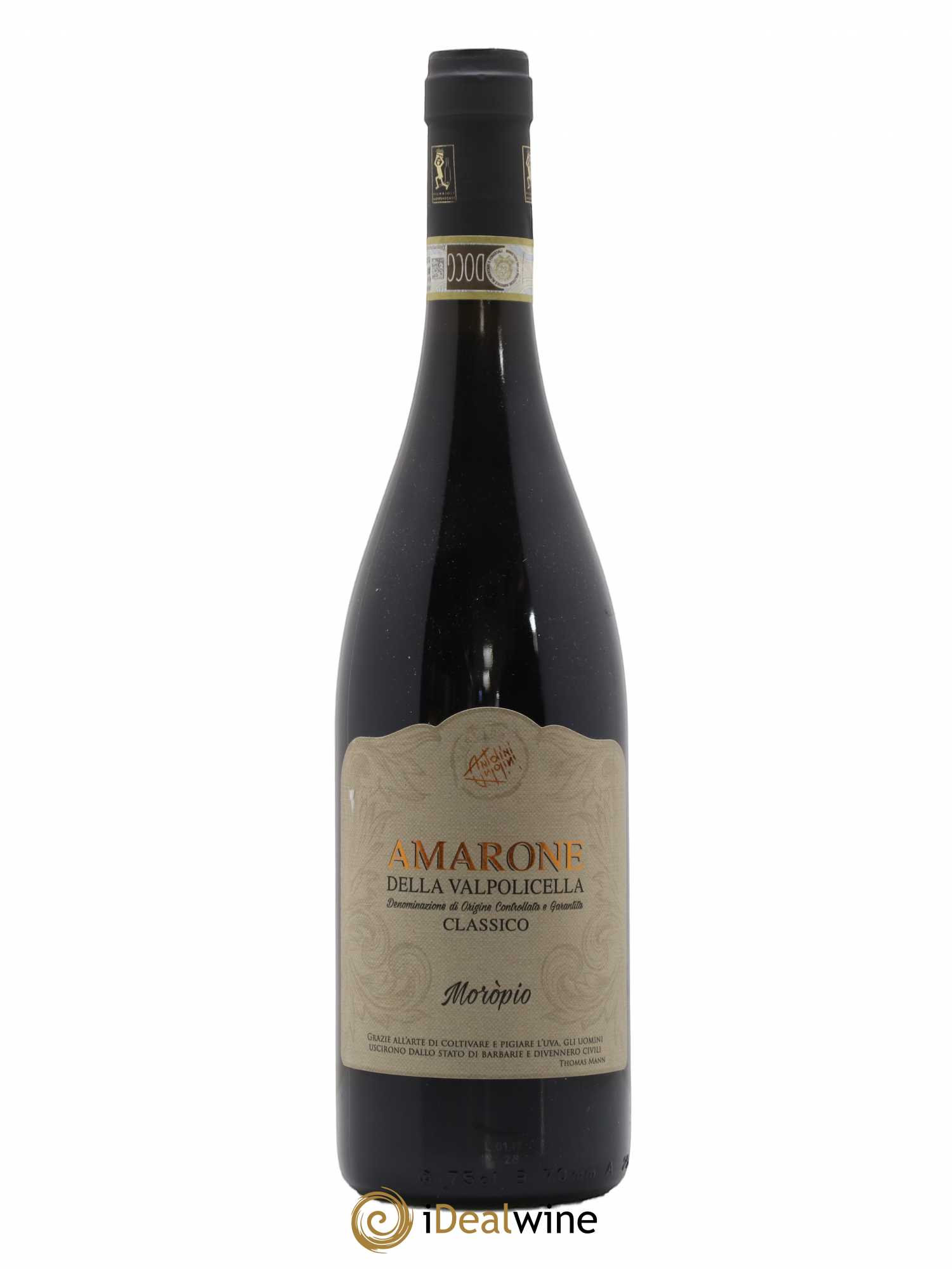 Amarone della Valpolicella DOC Classico Moropio Antolini 2014 - Lot de 1 bouteille - 0
