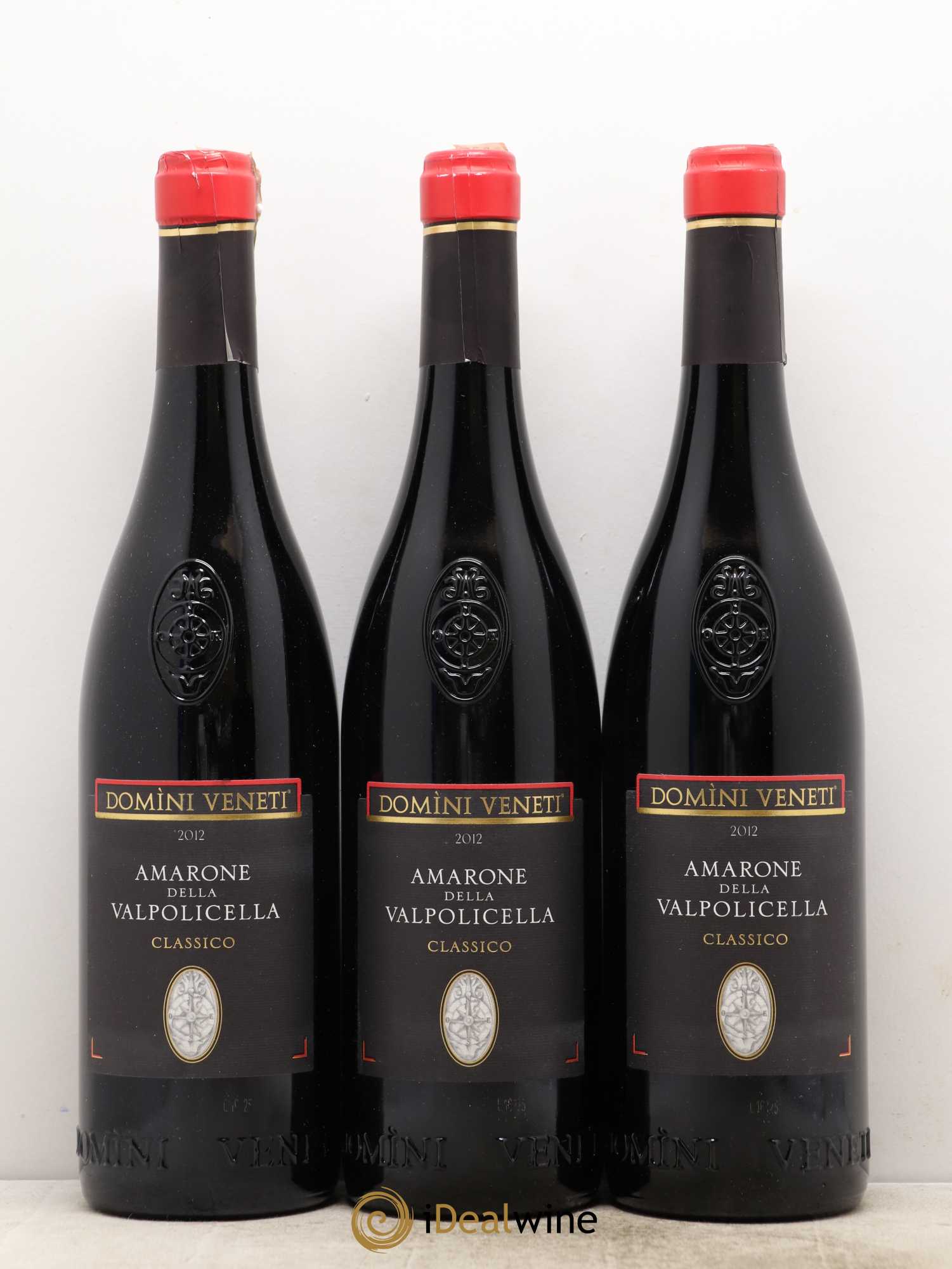 Amarone della Valpolicella DOC Classico Domini Veneti 2012 - Lot de 3 bouteilles - 0