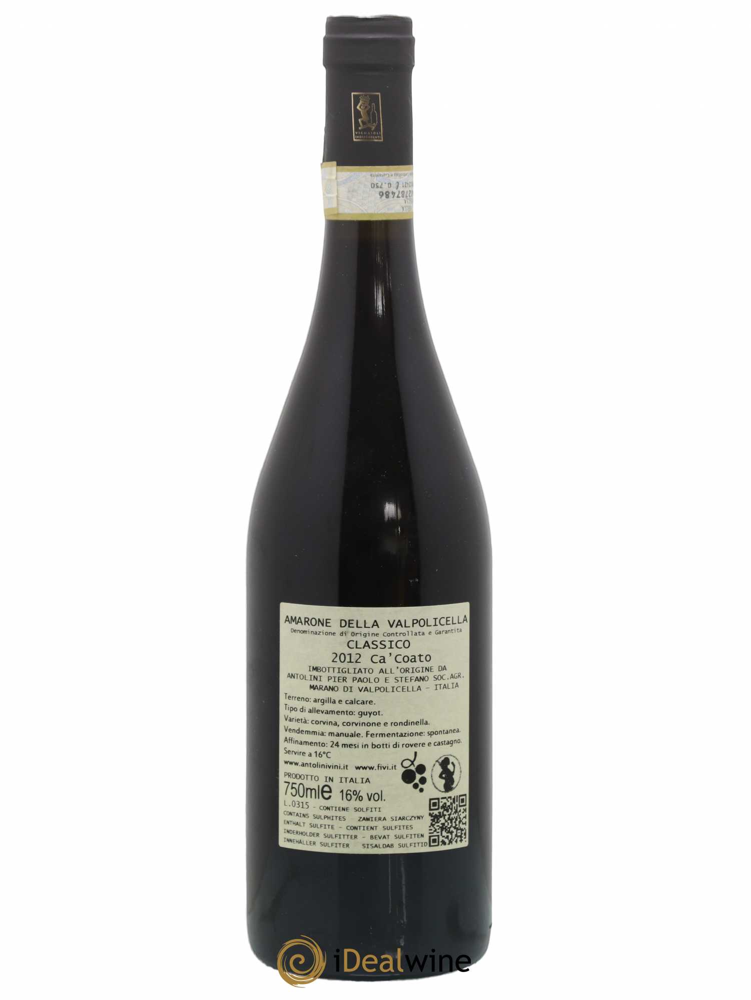 Amarone della Valpolicella DOC Classico Antolini Ca Coato 2012 - Posten von 1 Flasche - 1