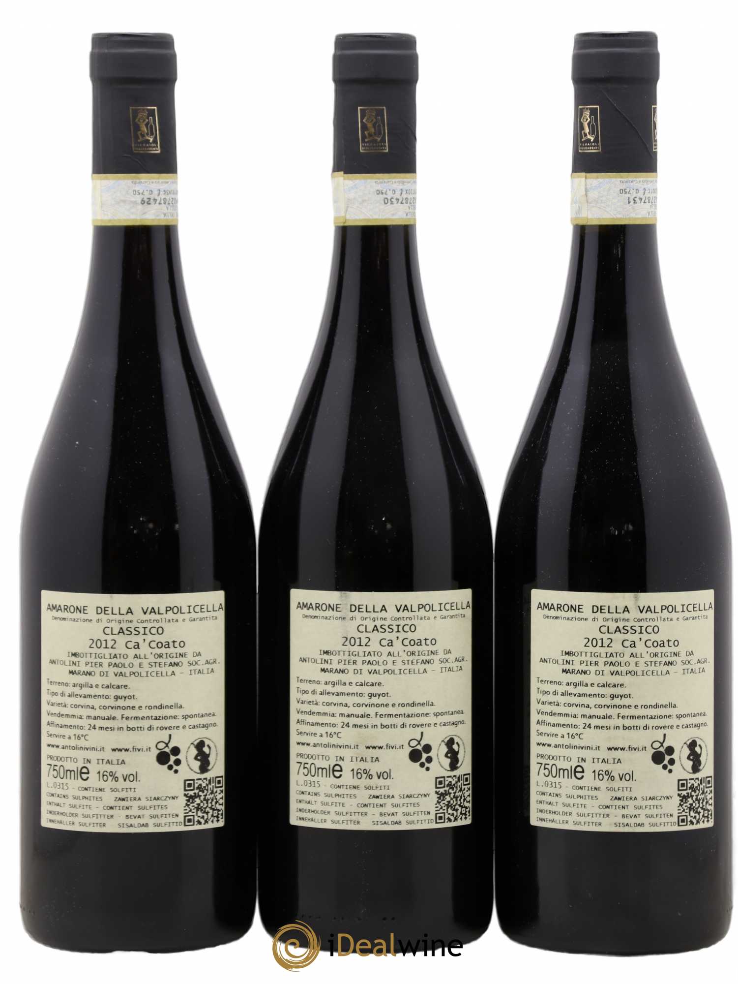Amarone della Valpolicella DOC Classico Antolini Ca Coato 2012 - Posten von 3 Flaschen - 1
