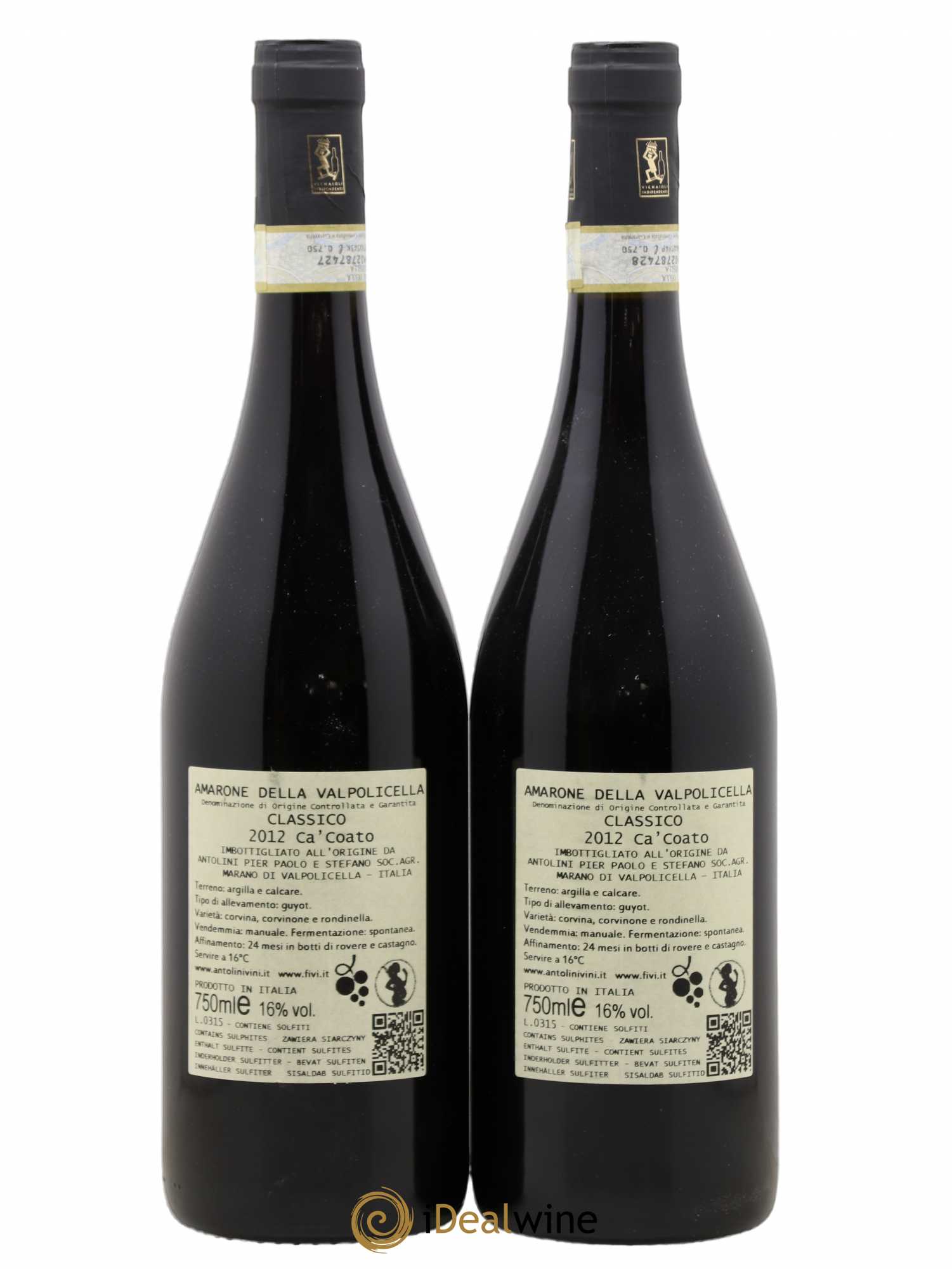 Amarone della Valpolicella DOC Classico Antolini Ca Coato 2012 - Posten von 2 Flaschen - 1