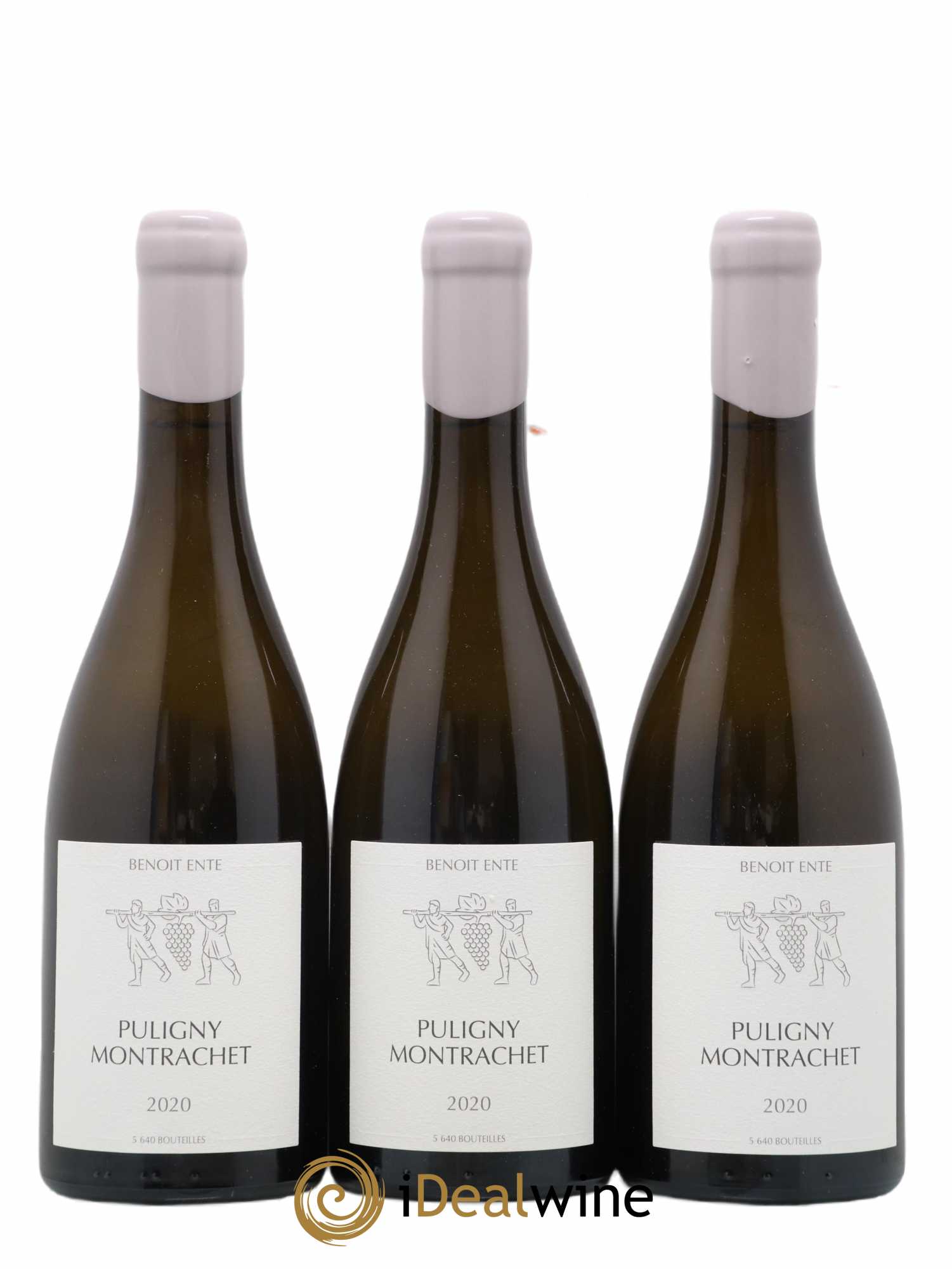 Puligny-Montrachet Benoit Ente 2020 - Lot of 3 bottles - 0