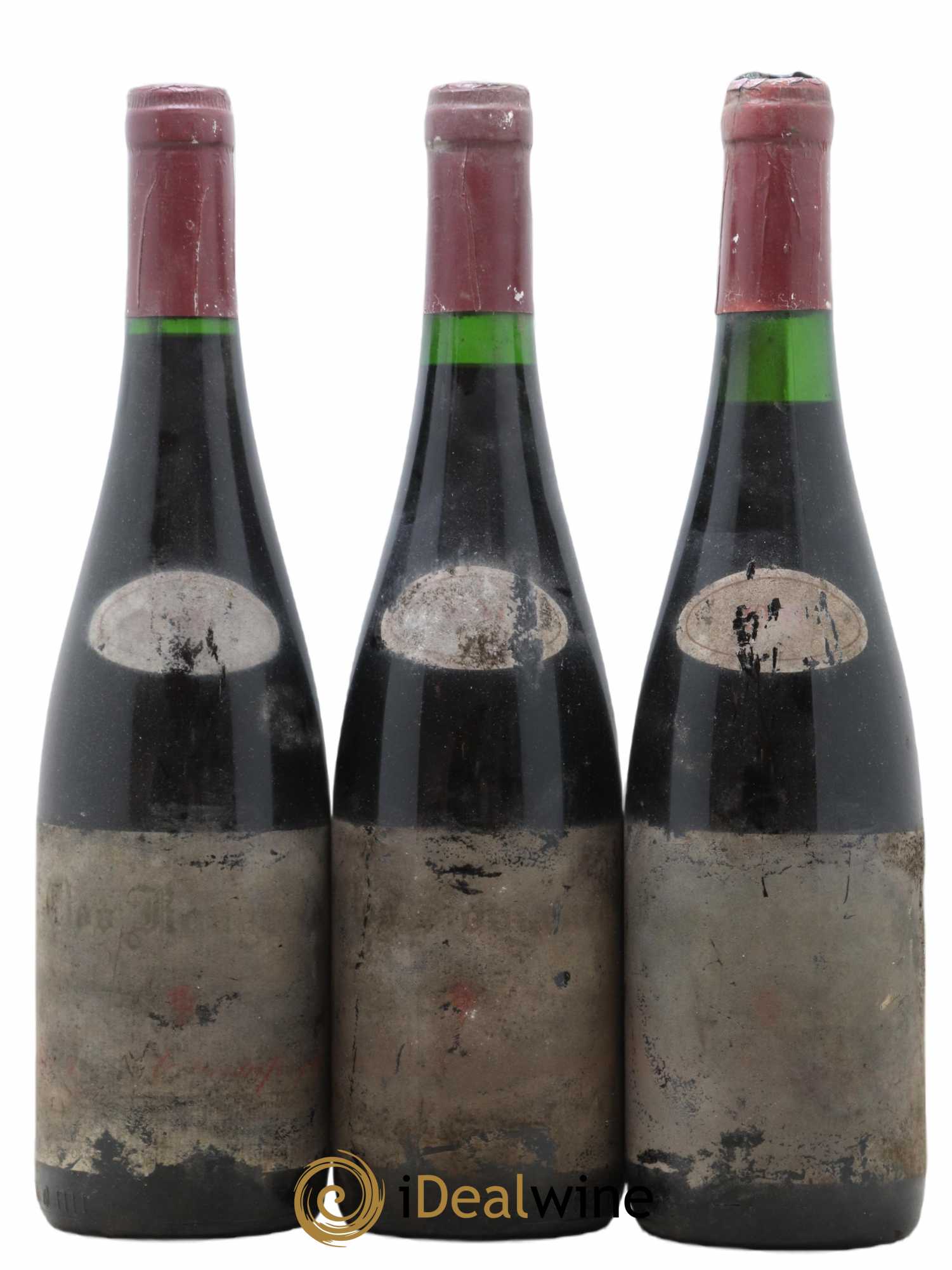 Saumur-Champigny Clos Rougeard 1990 - Lot de 6 bouteilles - 1