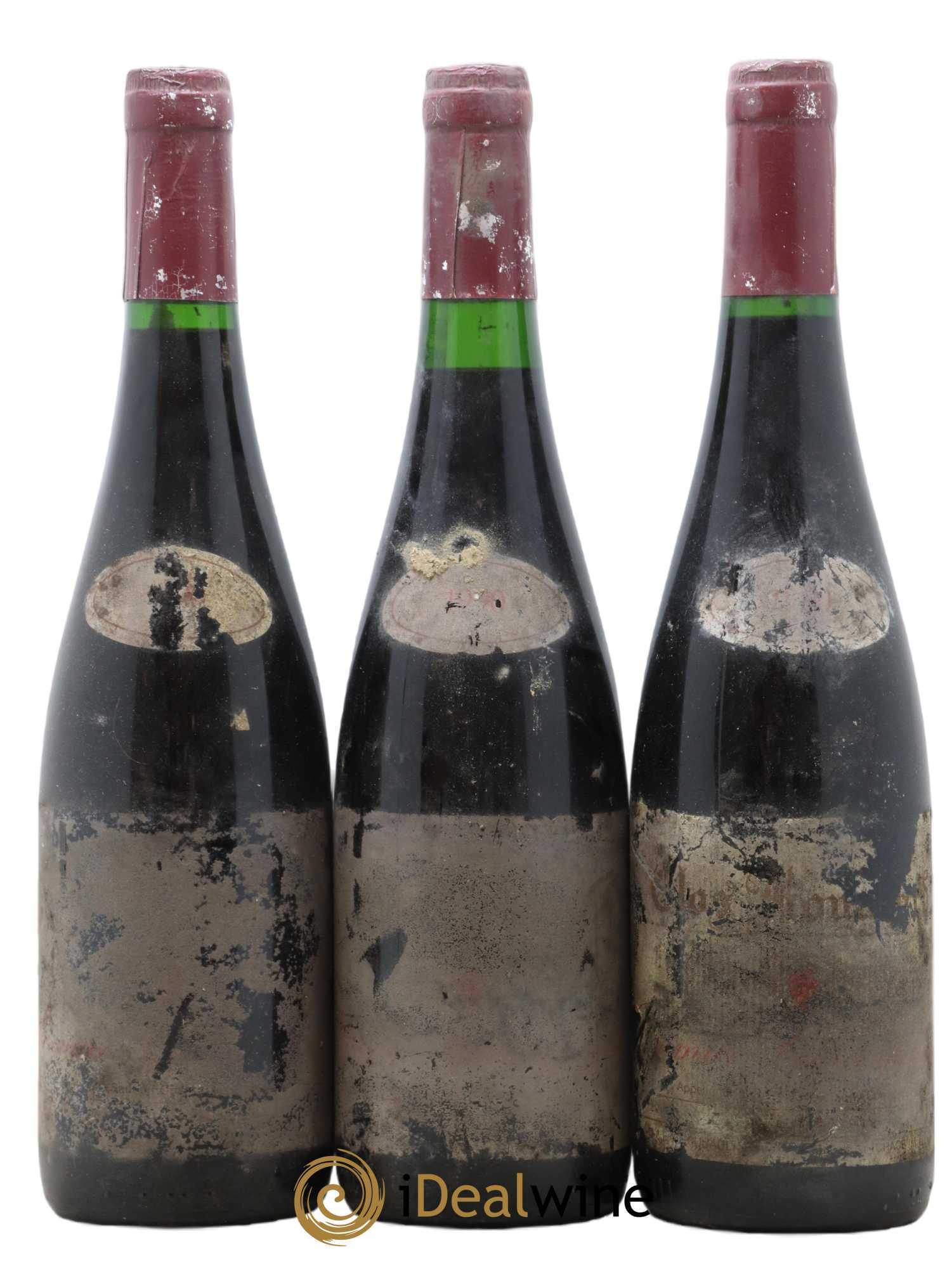 Saumur-Champigny Clos Rougeard 1990 - Lot de 6 bouteilles - 2
