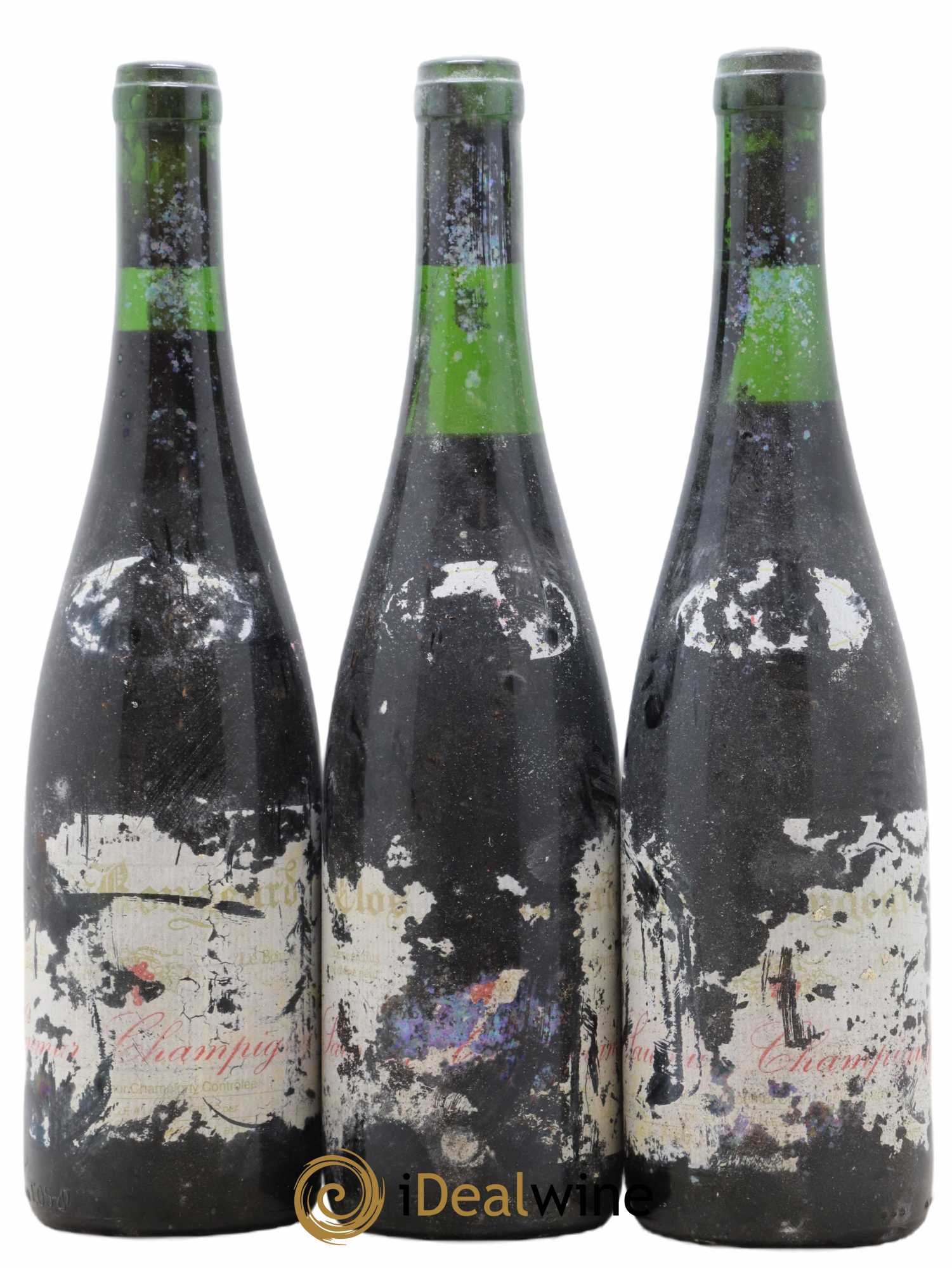 Saumur-Champigny Le Bourg Clos Rougeard - Lot de 5 bouteilles - 2