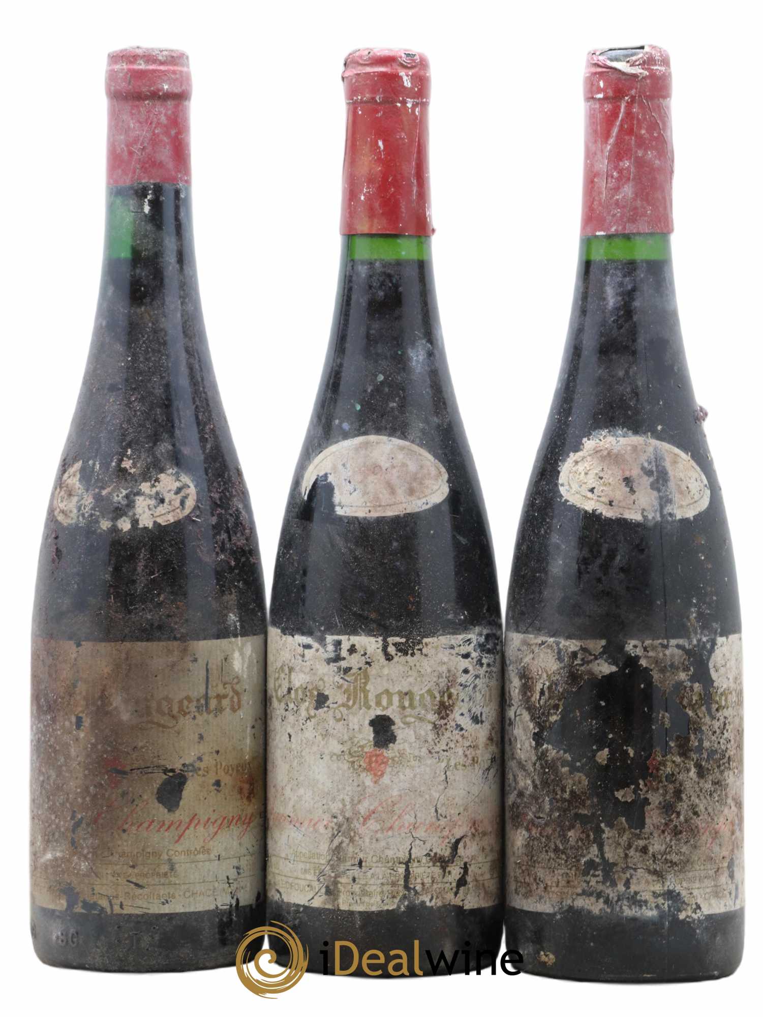 Saumur-Champigny Les Poyeux Clos Rougeard - Lot de 13 bouteilles - 1