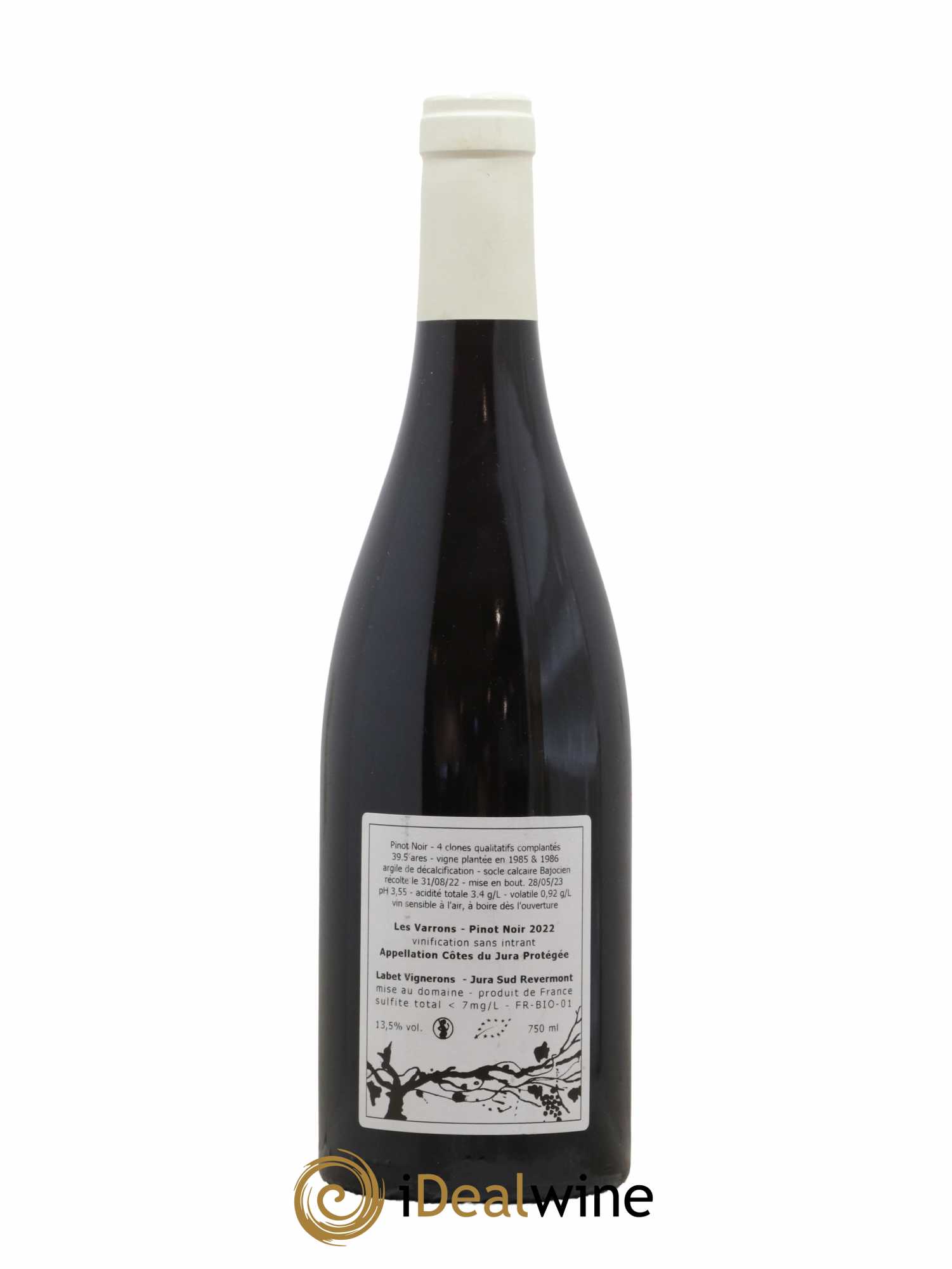 Côtes du Jura Pinot Noir Les Varrons Sélection Massale Romain - Julien - Charline Labet 2022 - Lot de 1 bouteille - 1