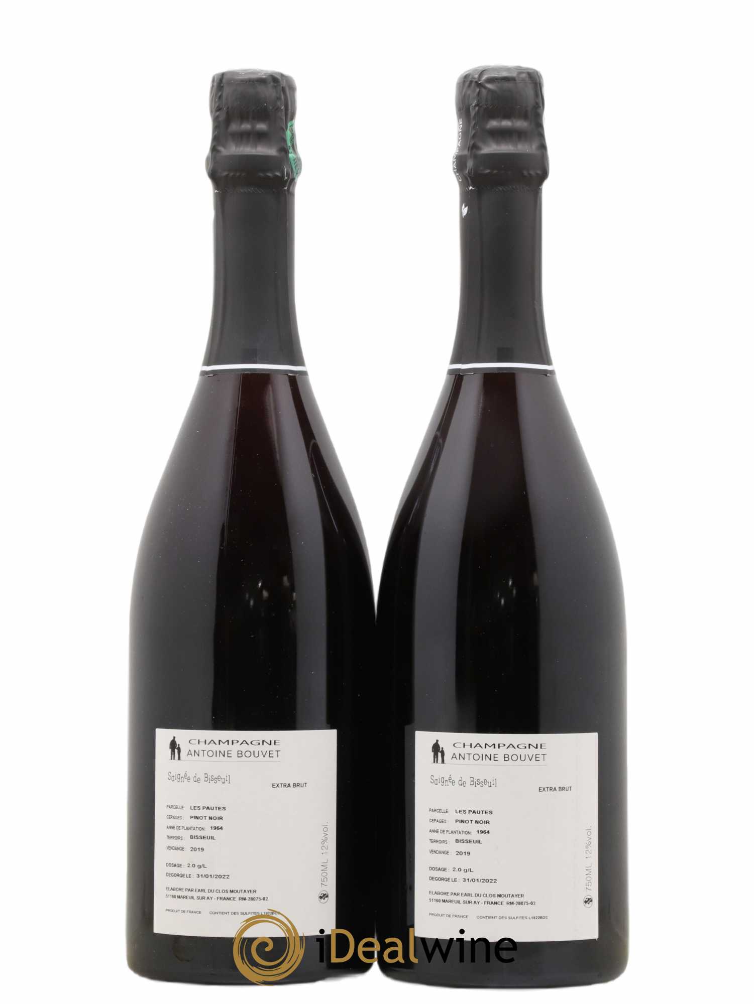 Champagne - saigne de bisseuil Antoine Bouvet 2019 - Posten von 2 Flaschen - 1