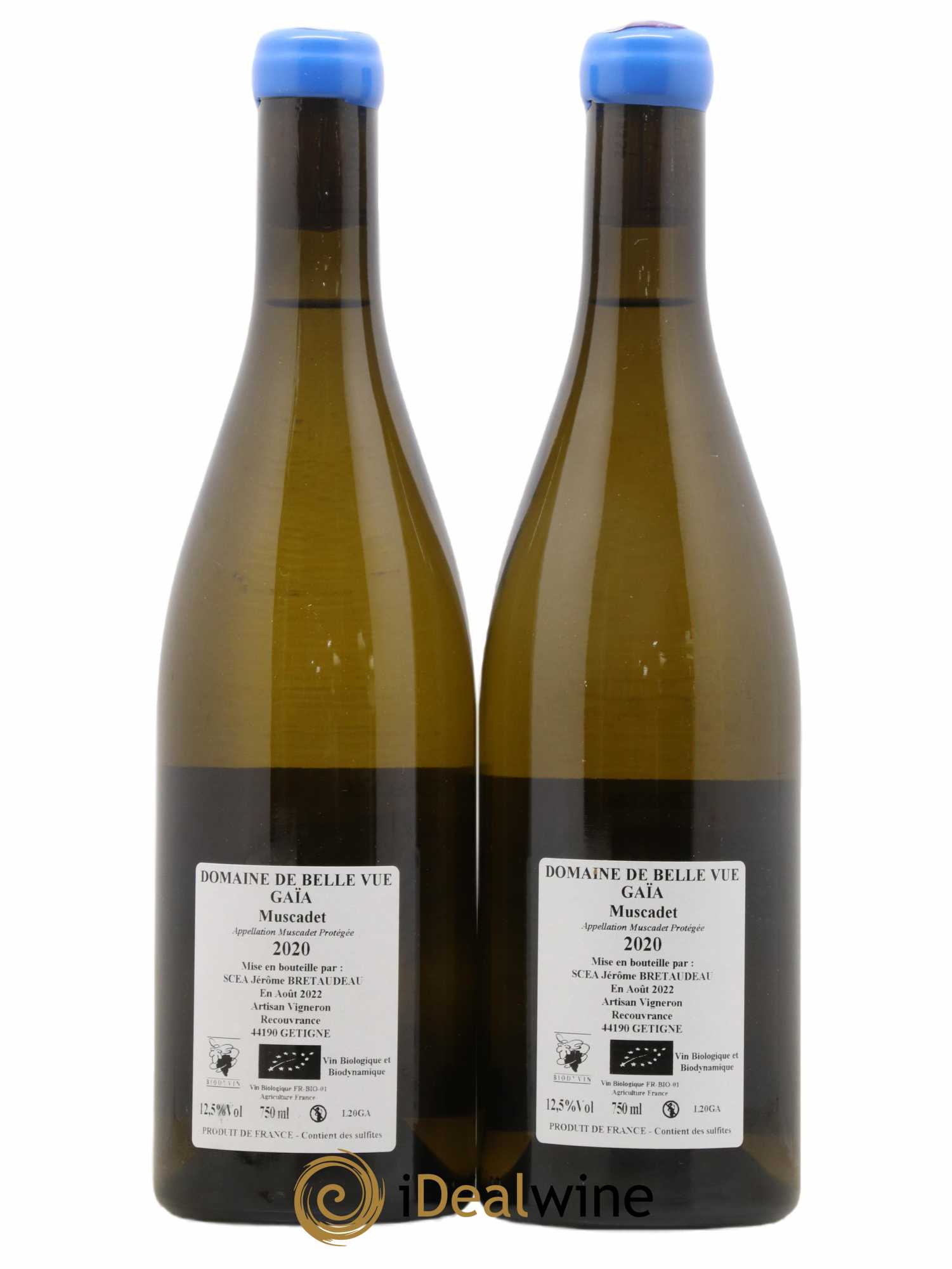 Muscadet-Sèvre-et-Maine Gaia Jérôme Bretaudeau - Domaine de Bellevue 2020 - Lot de 2 bouteilles - 1