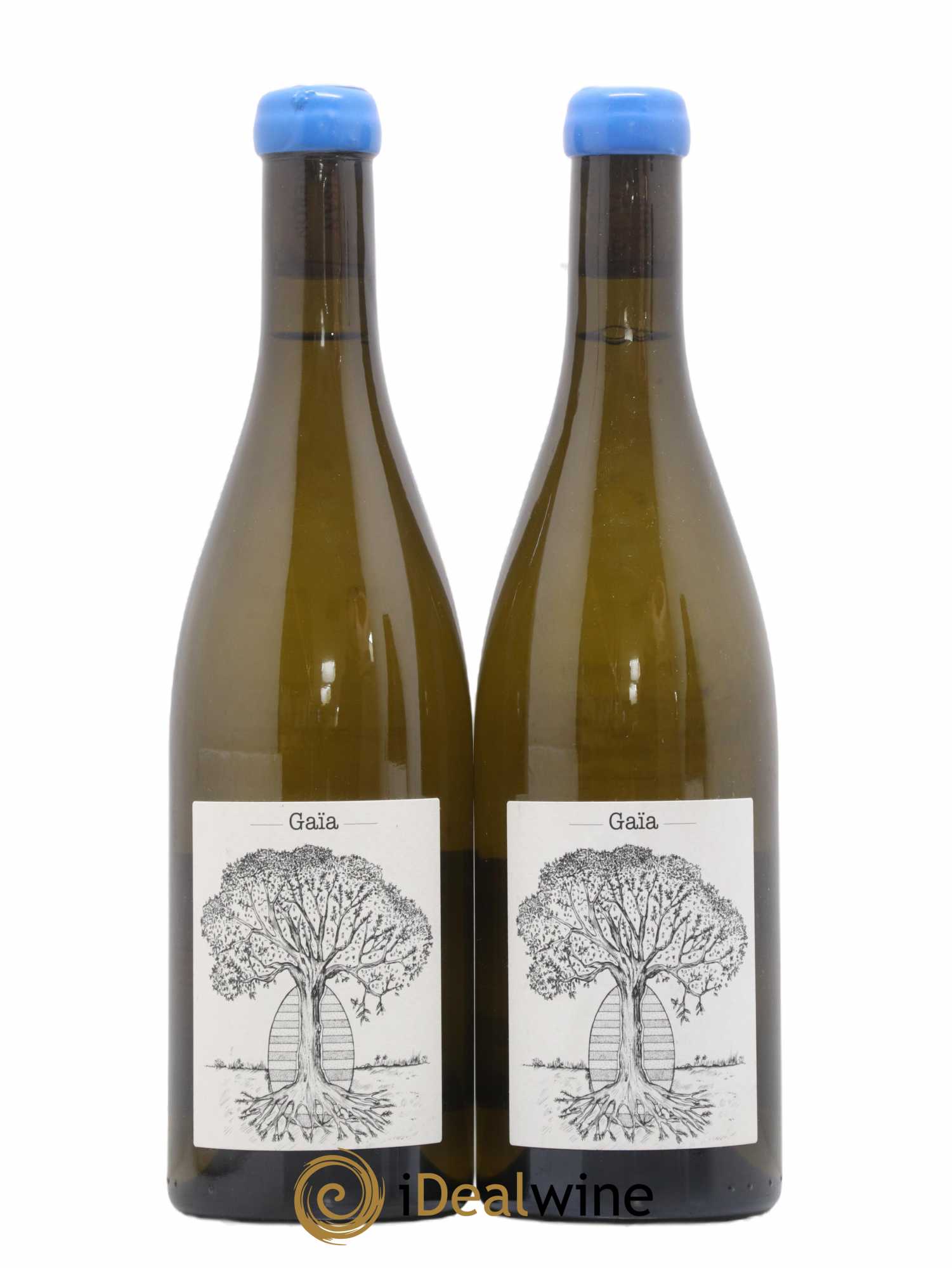 Muscadet-Sèvre-et-Maine Gaia Jérôme Bretaudeau - Domaine de Bellevue 2019 - Lot de 2 bouteilles - 0