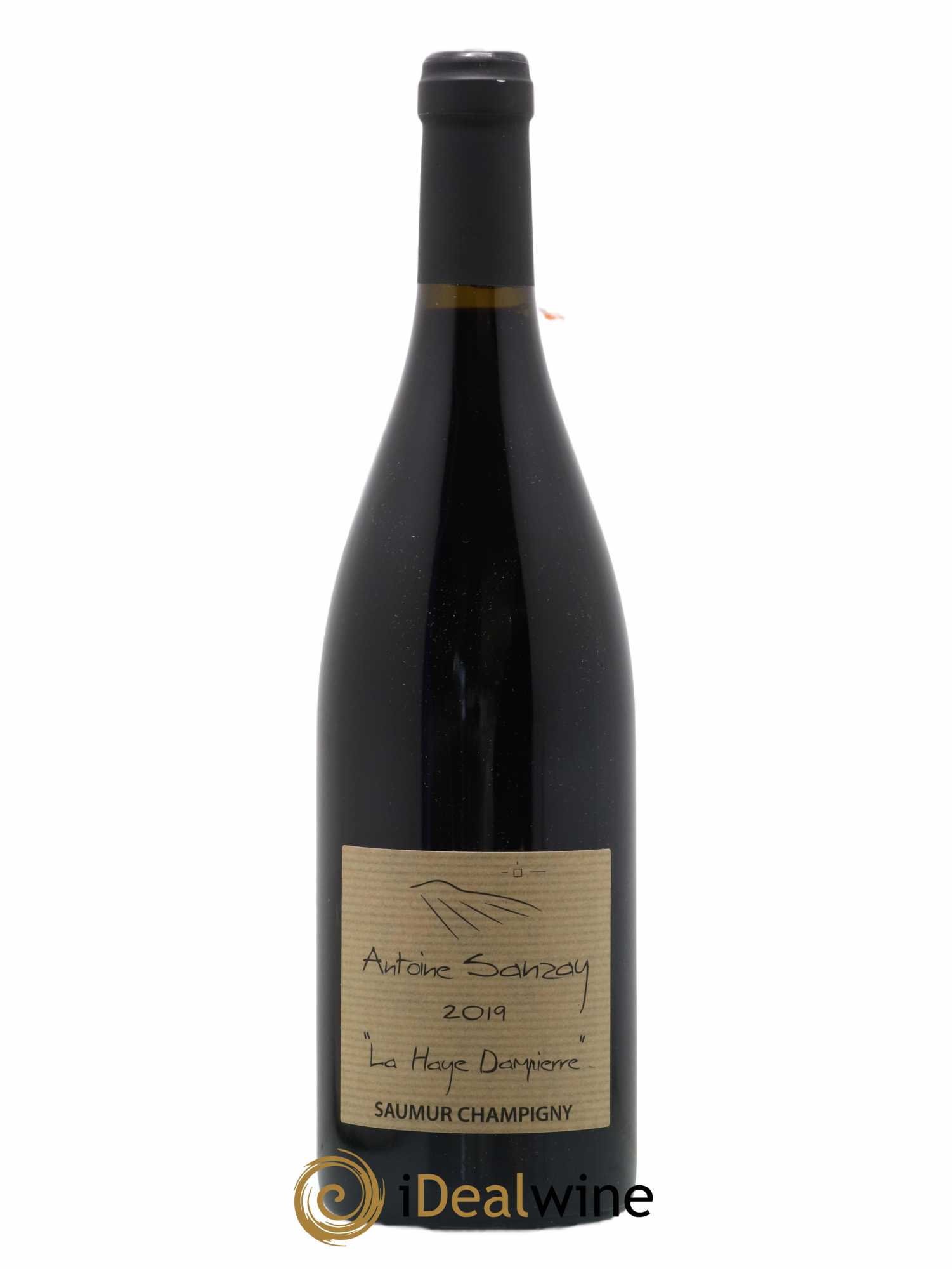 Saumur-Champigny La Haye Dampierre Antoine Sanzay 2019 - Lot de 1 bouteille - 0
