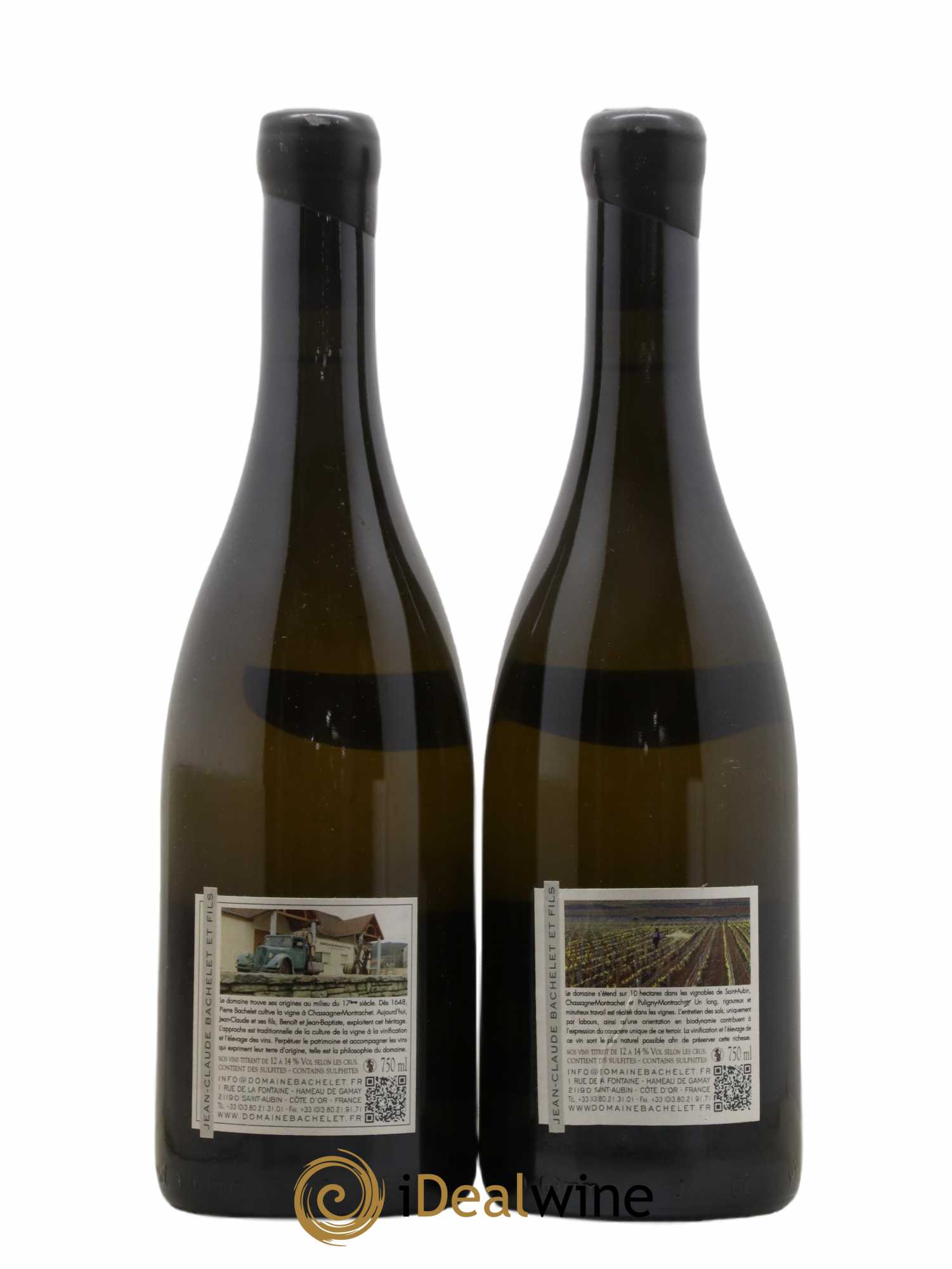 Chassagne-Montrachet 1er Cru Blanchot Dessus Jean-Claude Bachelet (Domaine) 2012 - Lot de 2 bouteilles - 1
