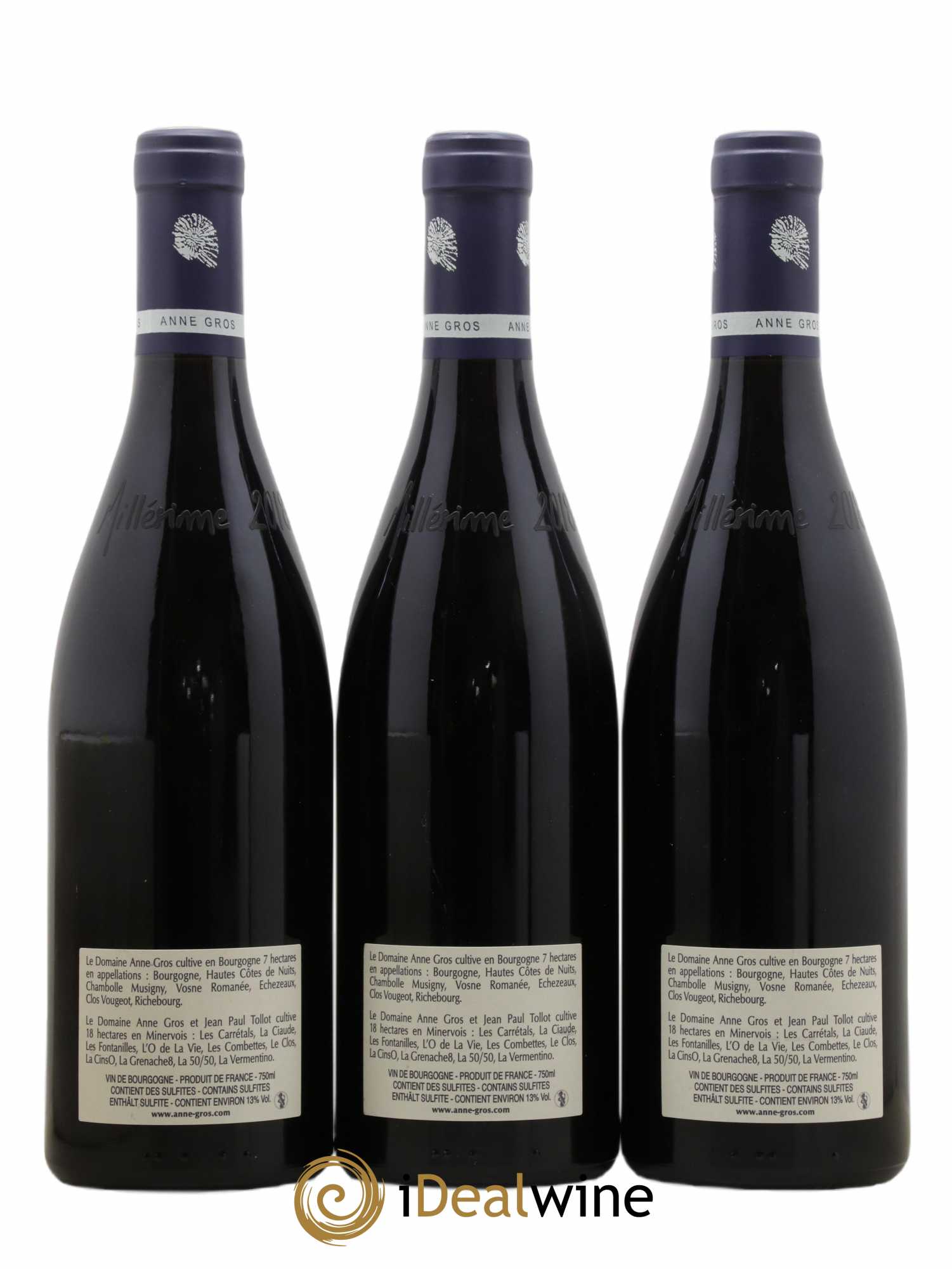 Richebourg Grand Cru Anne Gros 2018 - Lot of 3 bottles - 1