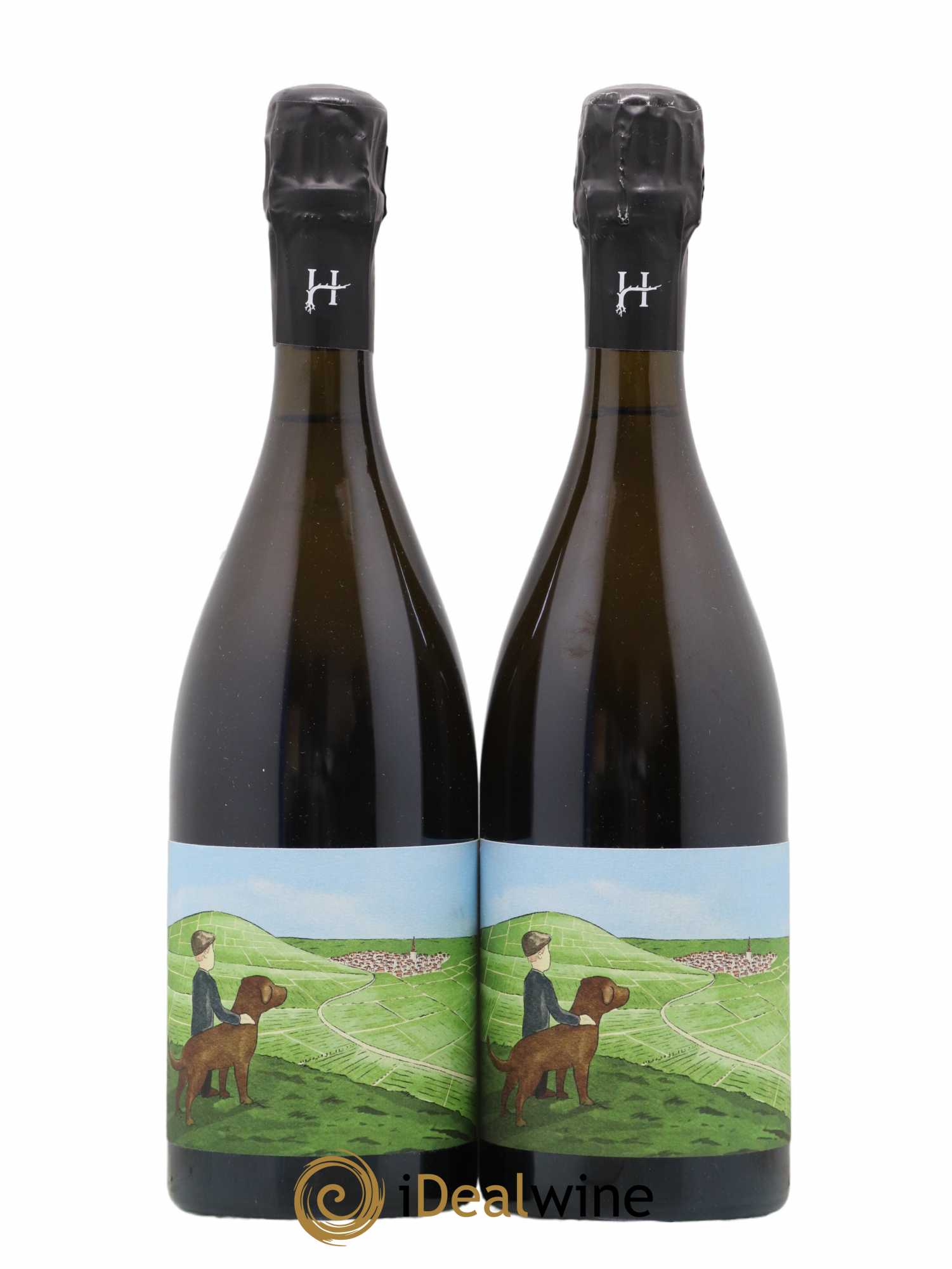 Gamin du Terroir Romain Henin - Lot of 2 bottles - 0