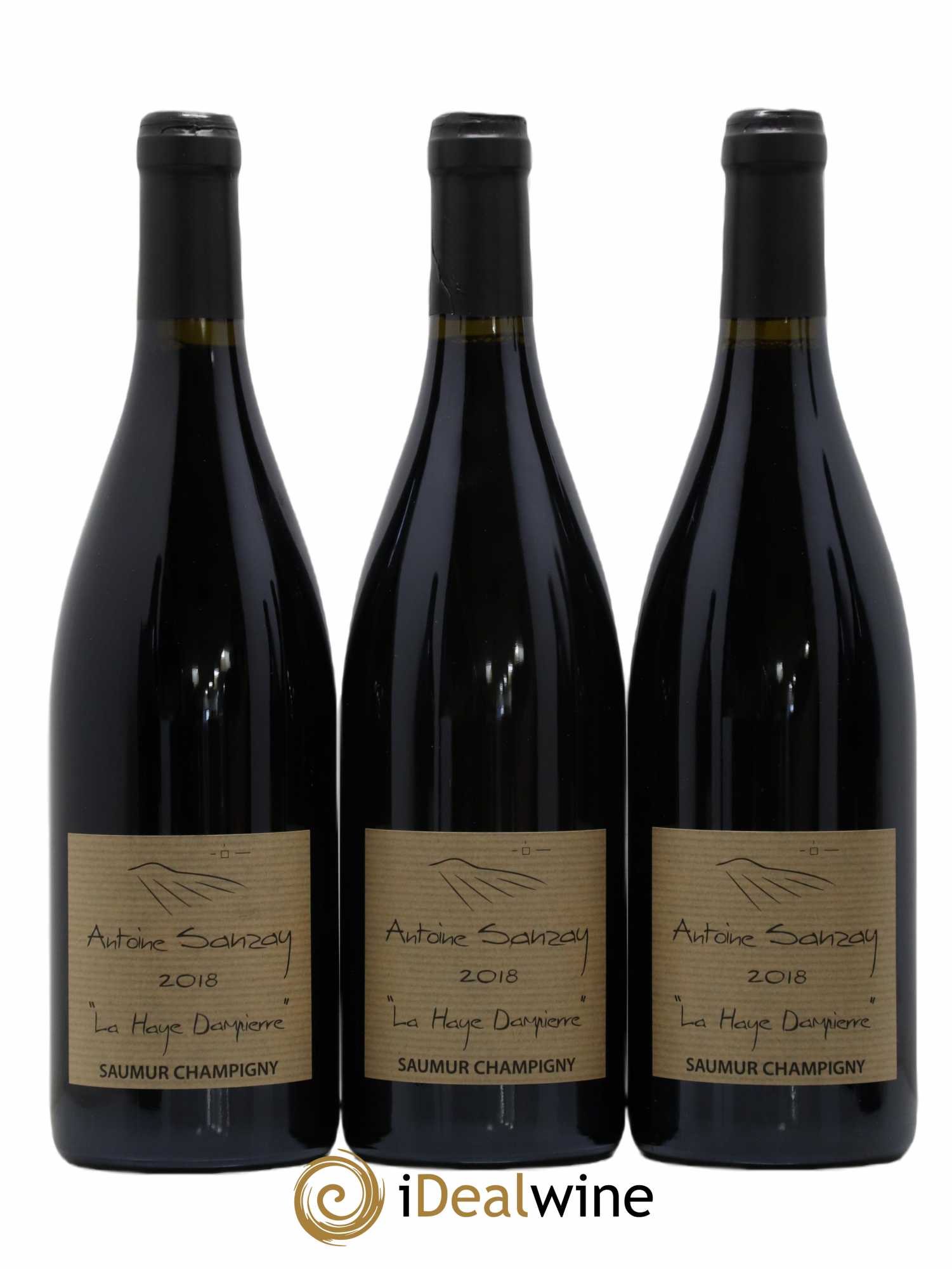 Saumur-Champigny La Haye Dampierre Antoine Sanzay 2018 - Lot de 6 bouteilles - 1