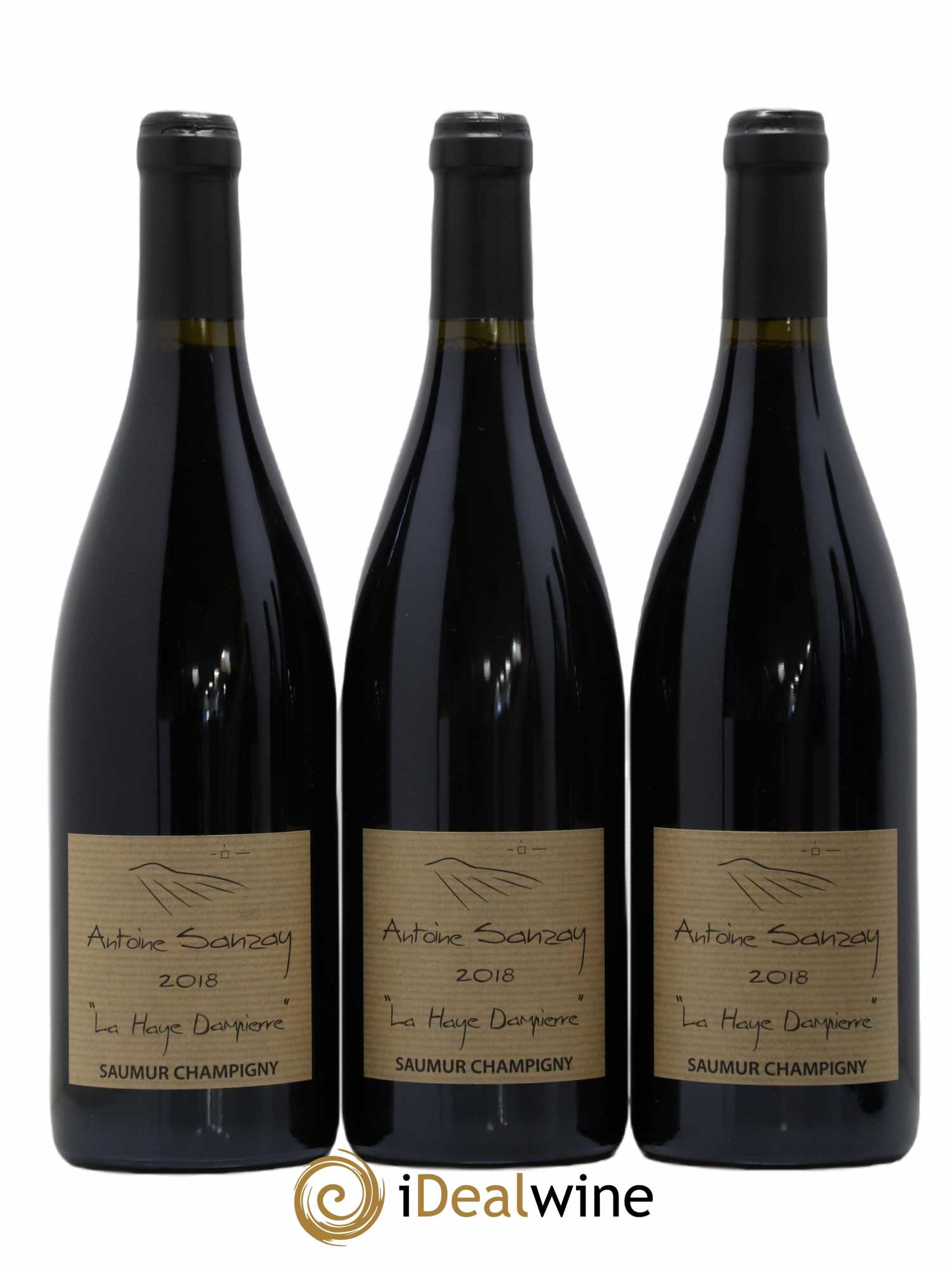 Saumur-Champigny La Haye Dampierre Antoine Sanzay 2018 - Lot de 6 bouteilles - 2