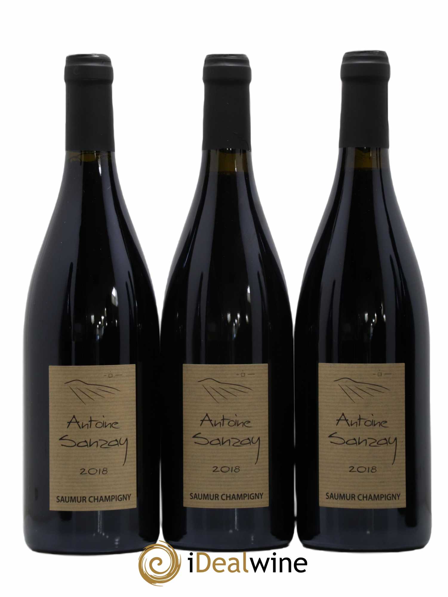Saumur-Champigny Antoine Sanzay 2018 - Lot de 6 bouteilles - 1