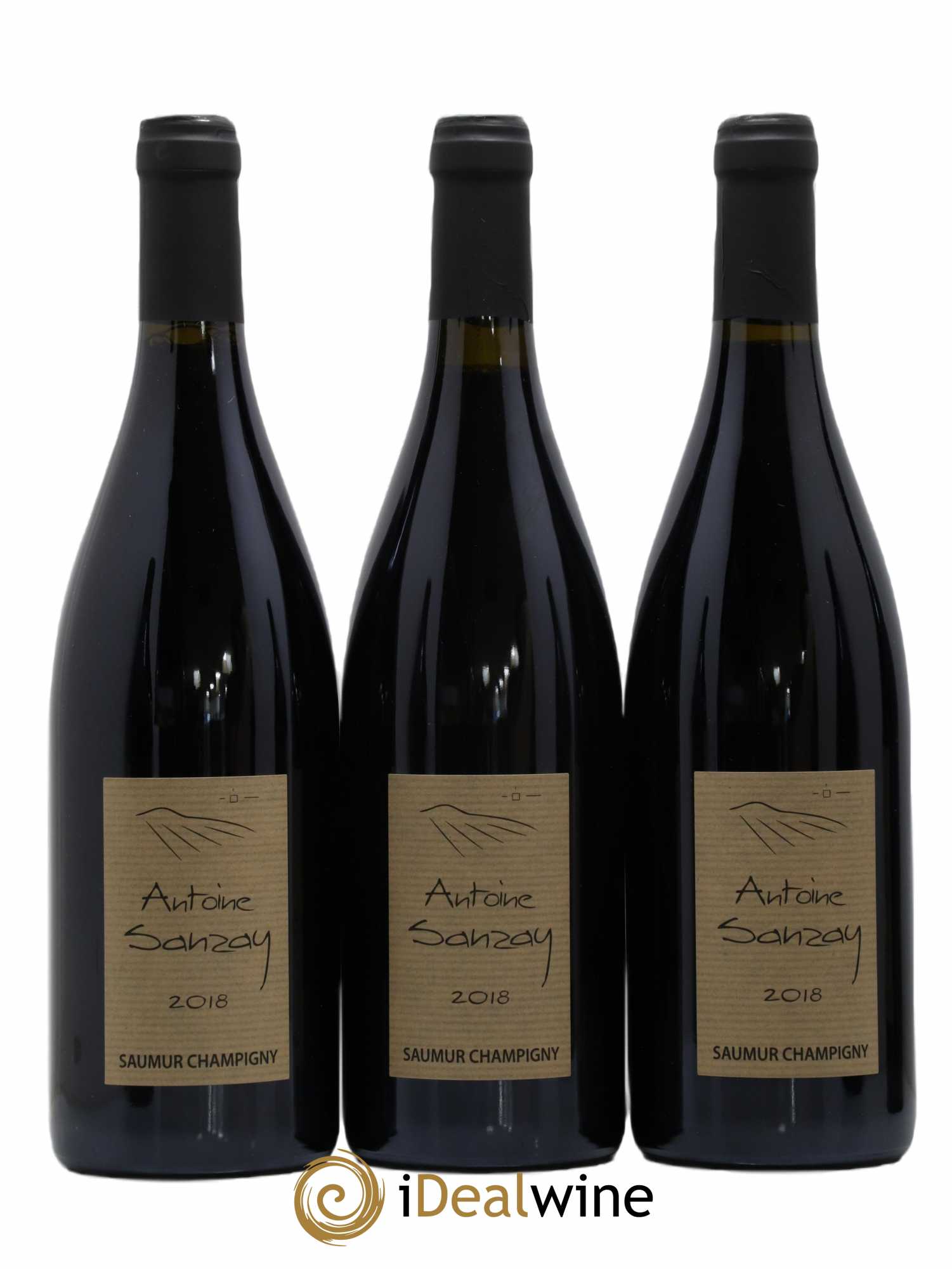 Saumur-Champigny Antoine Sanzay 2018 - Lot de 6 bouteilles - 1