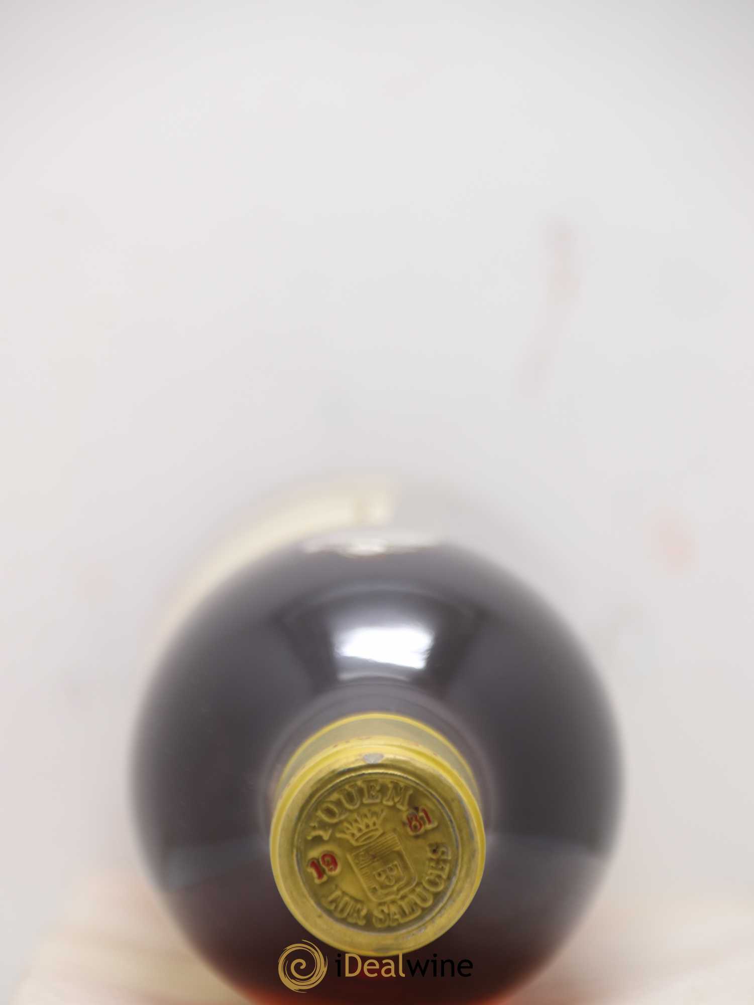 Château d' Yquem 1er Cru Classé Supérieur 1981 - Lotto di 1 bottiglia - 1