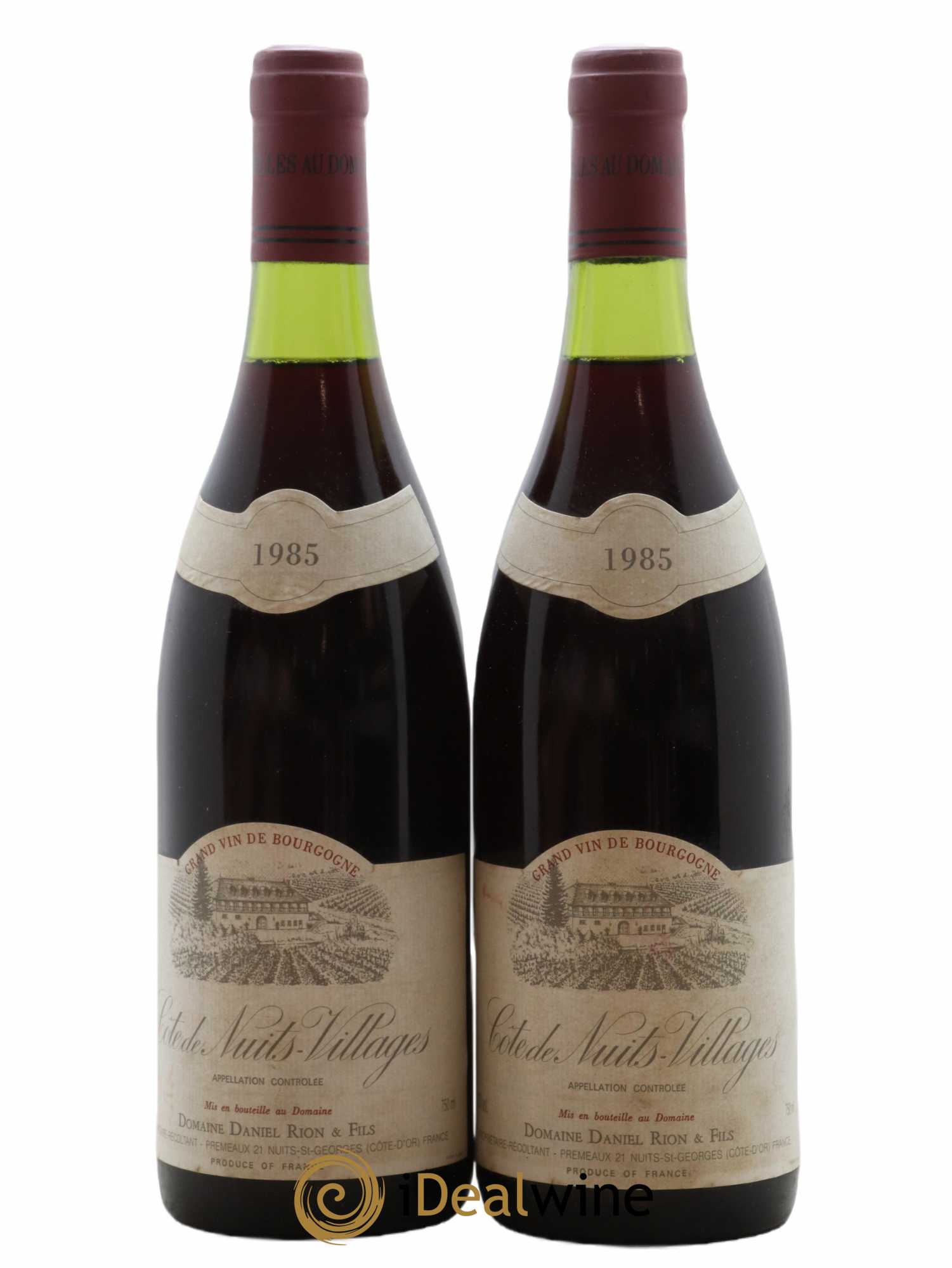 Côte de Nuits-Villages Daniel Rion 1985 - Lot de 2 bouteilles - 0