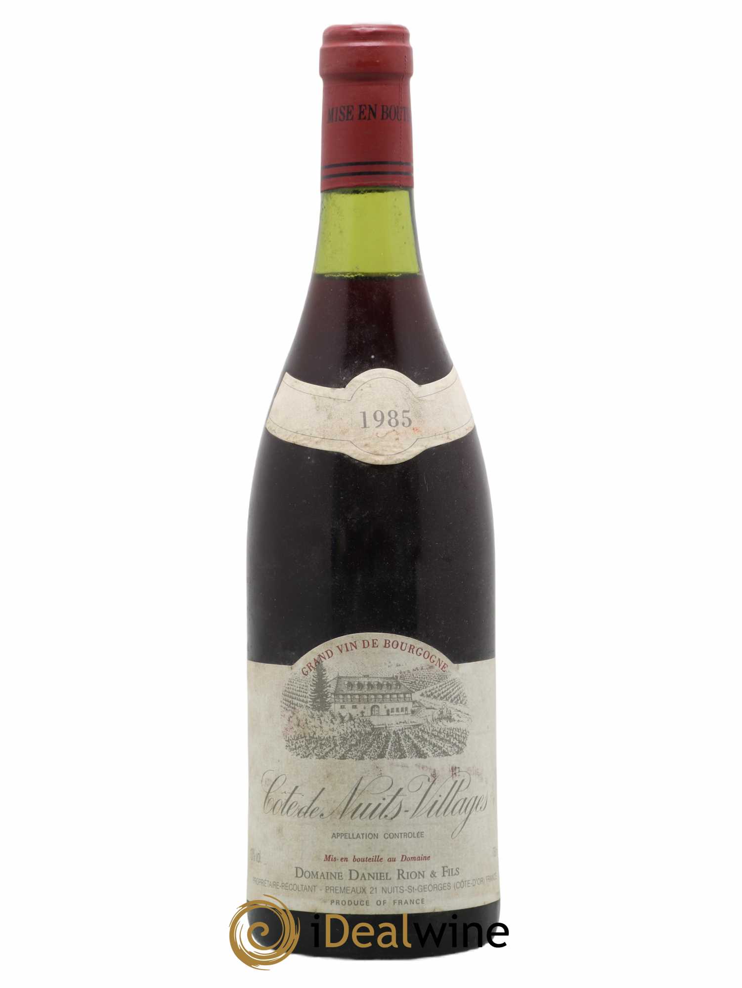 Côte de Nuits-Villages Daniel Rion 1985 - Posten von 1 Flasche - 0