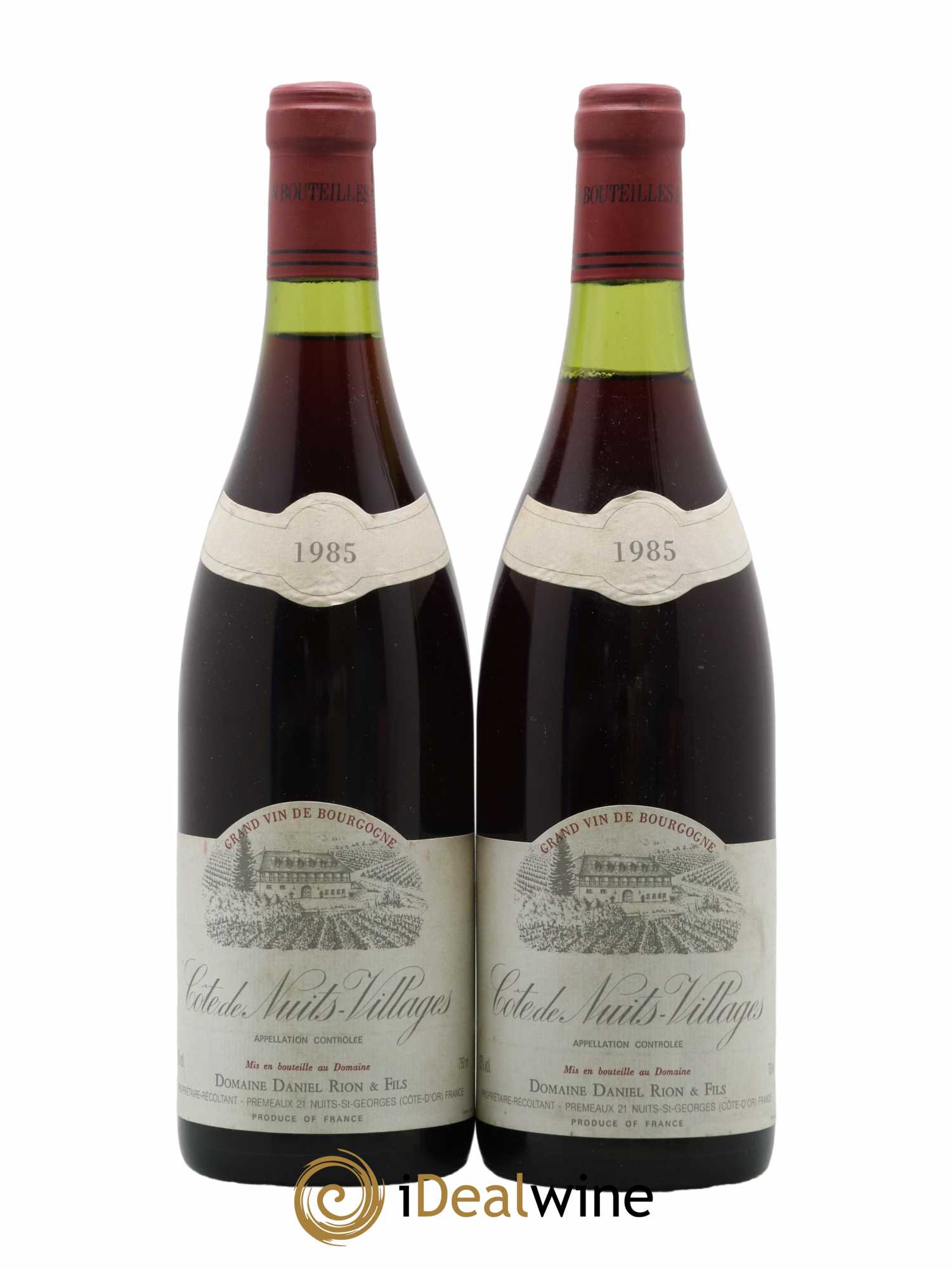 Côte de Nuits-Villages Daniel Rion Et Fils 1985 - Lot de 2 bouteilles - 0