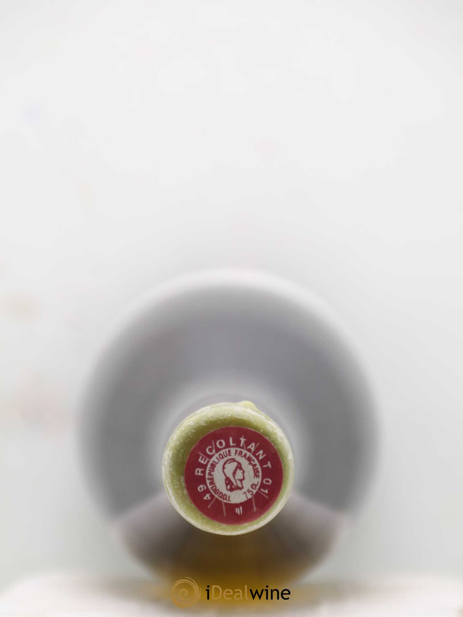 Vin de France Les Terres Blanches Stéphane Bernaudeau 2020 - Lot de 1 bouteille - 1