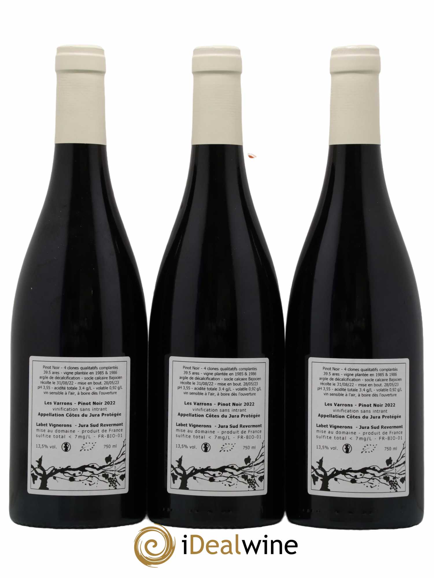 Côtes du Jura Pinot Noir Les Varrons Sélection Massale Romain - Julien - Charline Labet 2022 - Lot de 3 bouteilles - 1