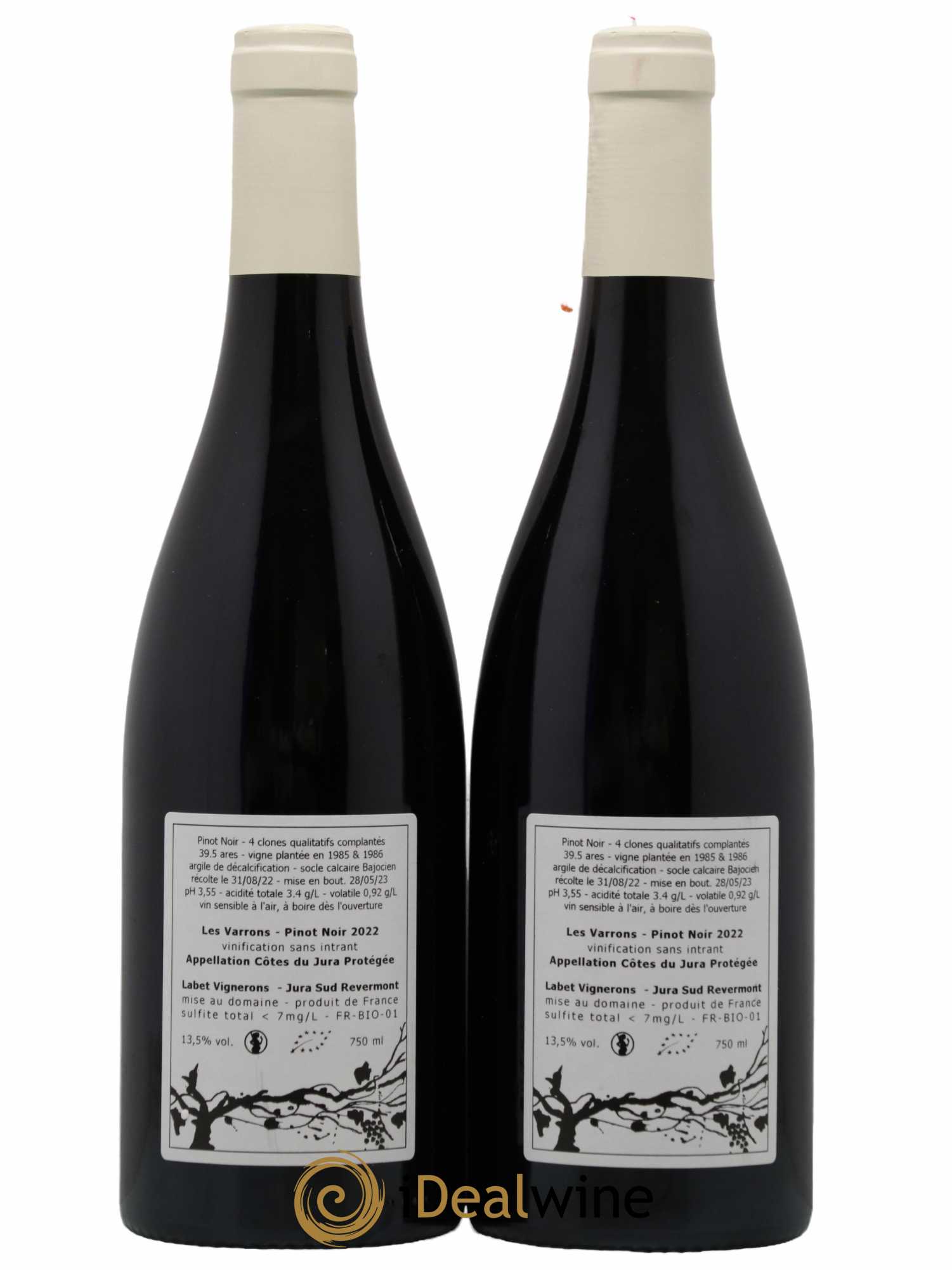 Côtes du Jura Pinot Noir Les Varrons Sélection Massale Romain - Julien  - Charline Labet 2022 - Lot de 2 bouteilles - 1