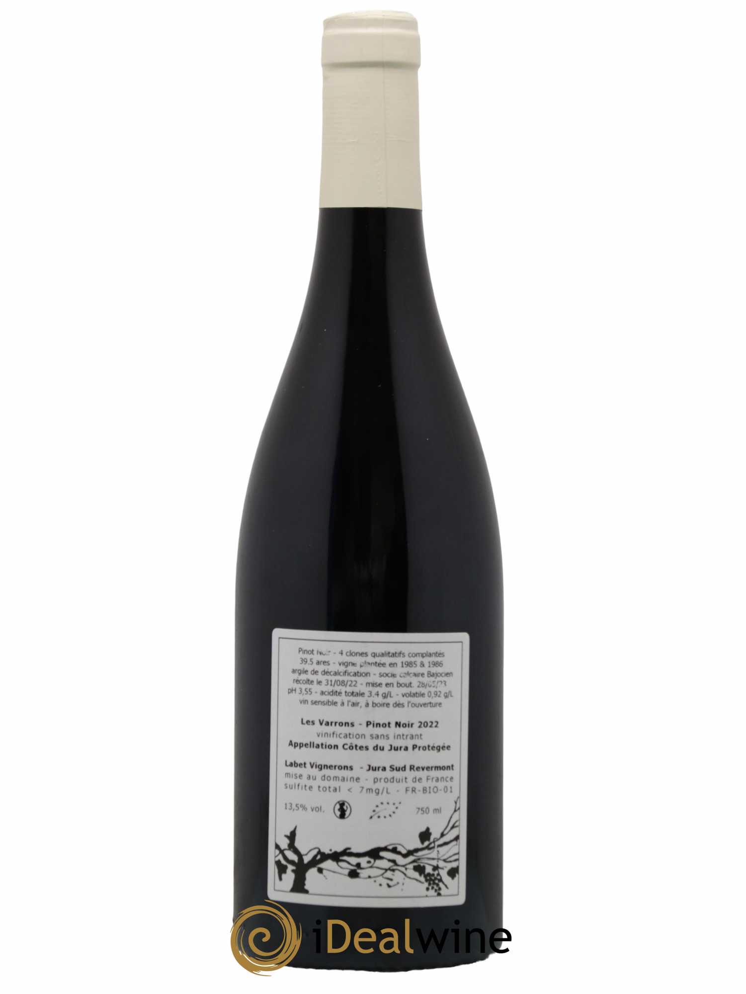 Côtes du Jura Pinot Noir Les Varrons Sélection Massale Romain - Julien - Charline Labet 2022 - Lot de 1 bouteille - 1