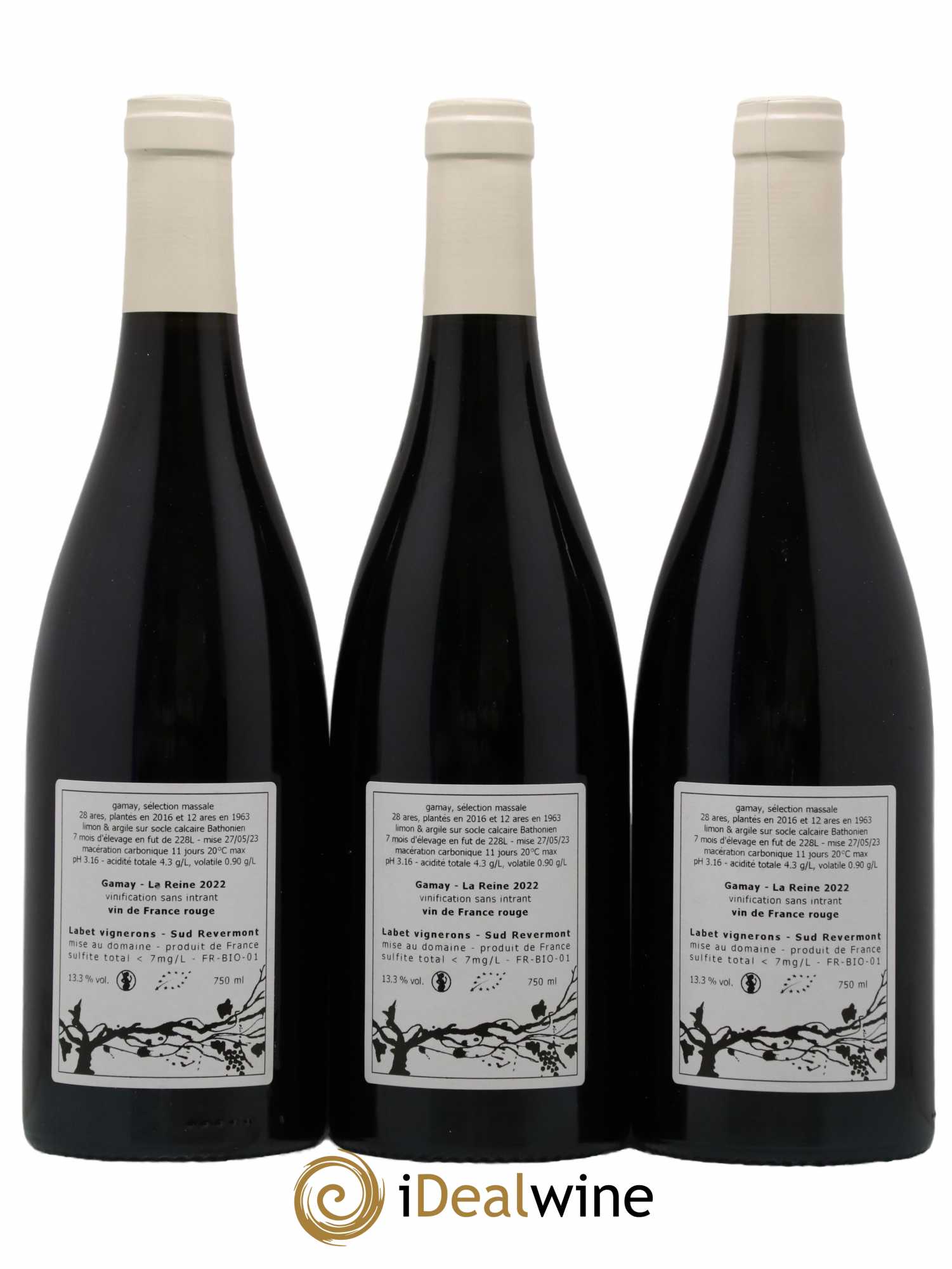 Vin de France Gamay La Reine Labet (Domaine) 2022 - Lot de 3 bouteilles - 1