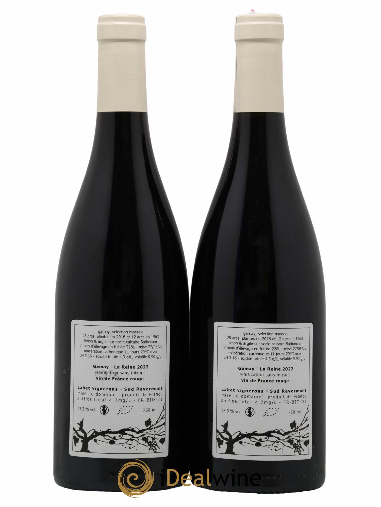 Vin de France Gamay La Reine Labet (Domaine) 2022 - Lot de 2 bouteilles - 1