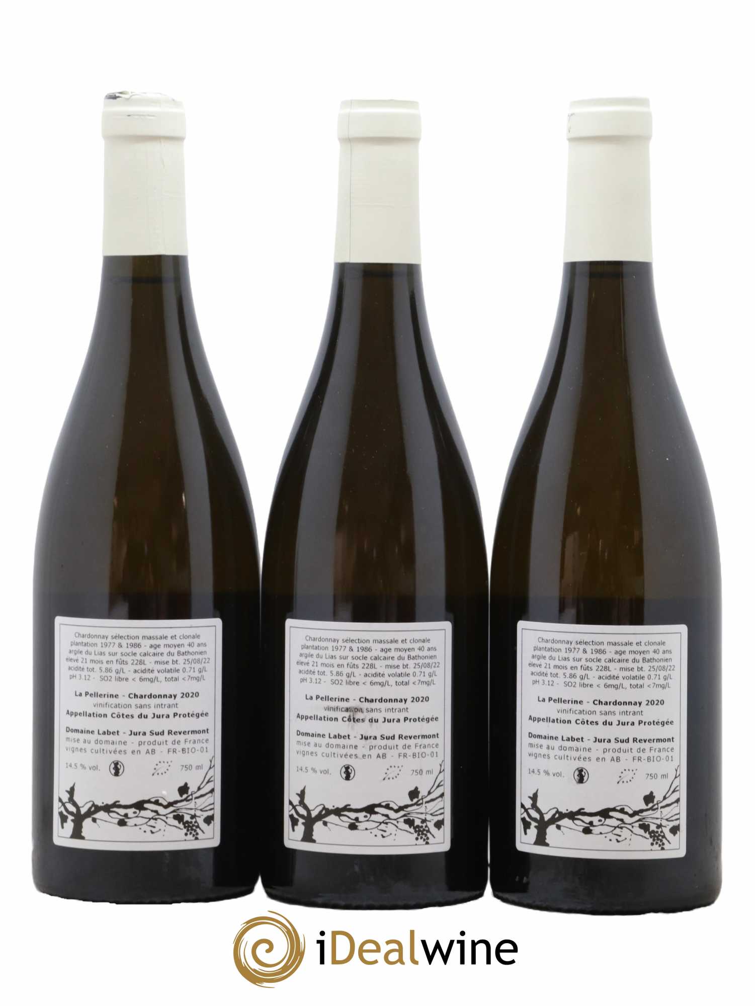 Côtes du Jura Chardonnay La Pellerine Labet 2020 - Lot de 3 bouteilles - 1