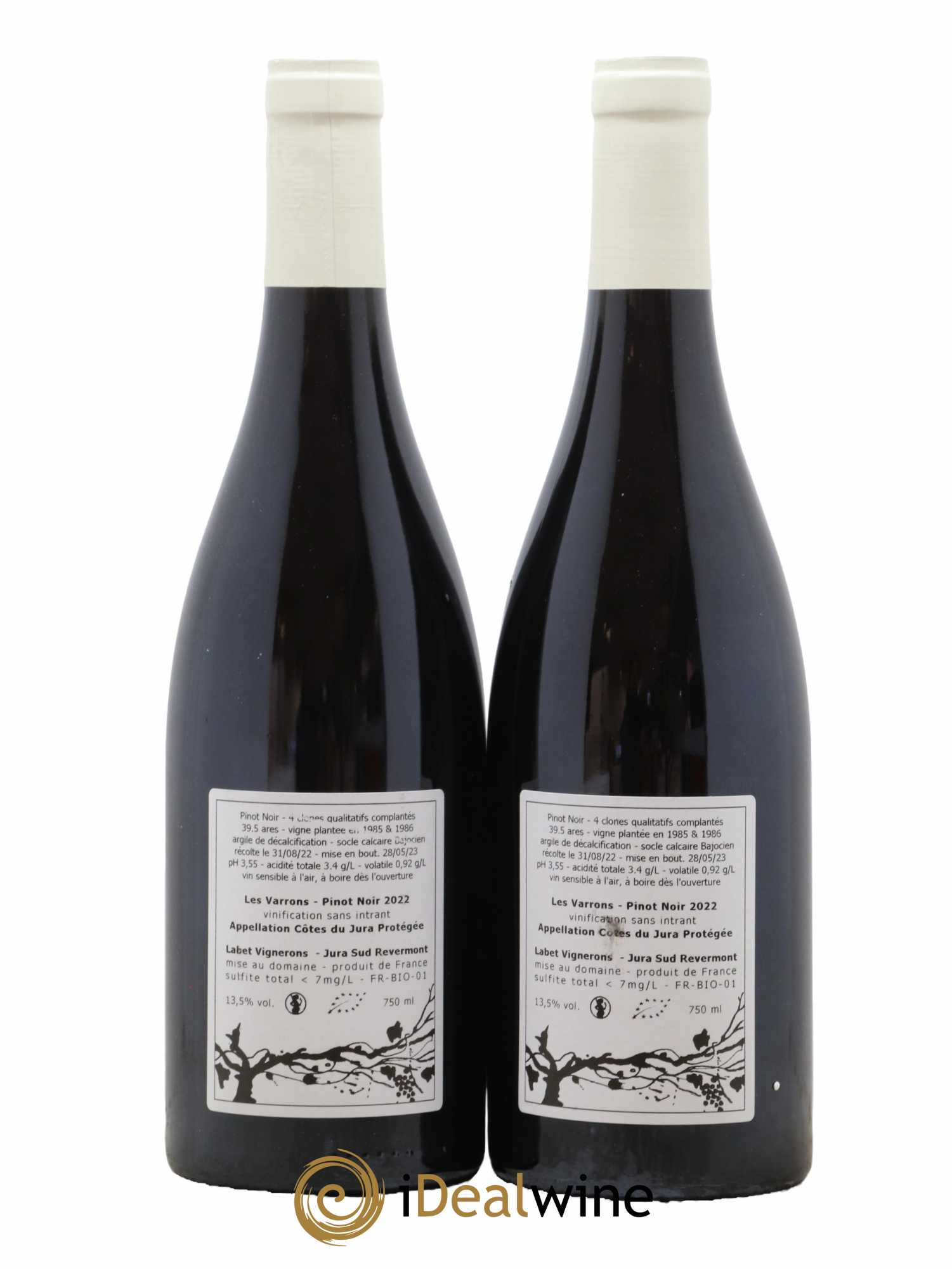 Côtes du Jura Pinot Noir Les Varrons Sélection Massale Romain - Julien  - Charline Labet 2022 - Lot de 2 bouteilles - 1