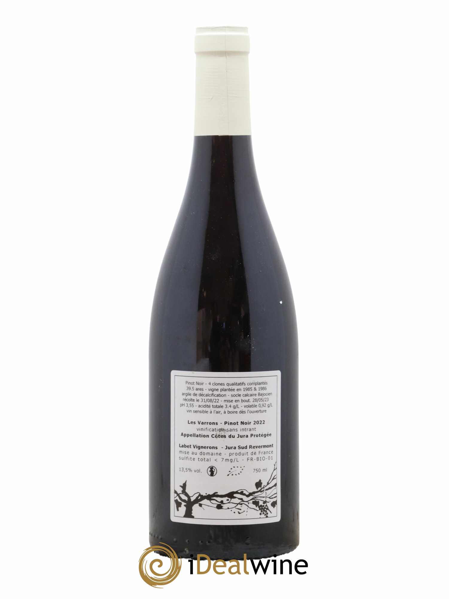 Côtes du Jura Pinot Noir Les Varrons Sélection Massale Romain - Julien - Charline Labet 2022 - Lot de 1 bouteille - 1