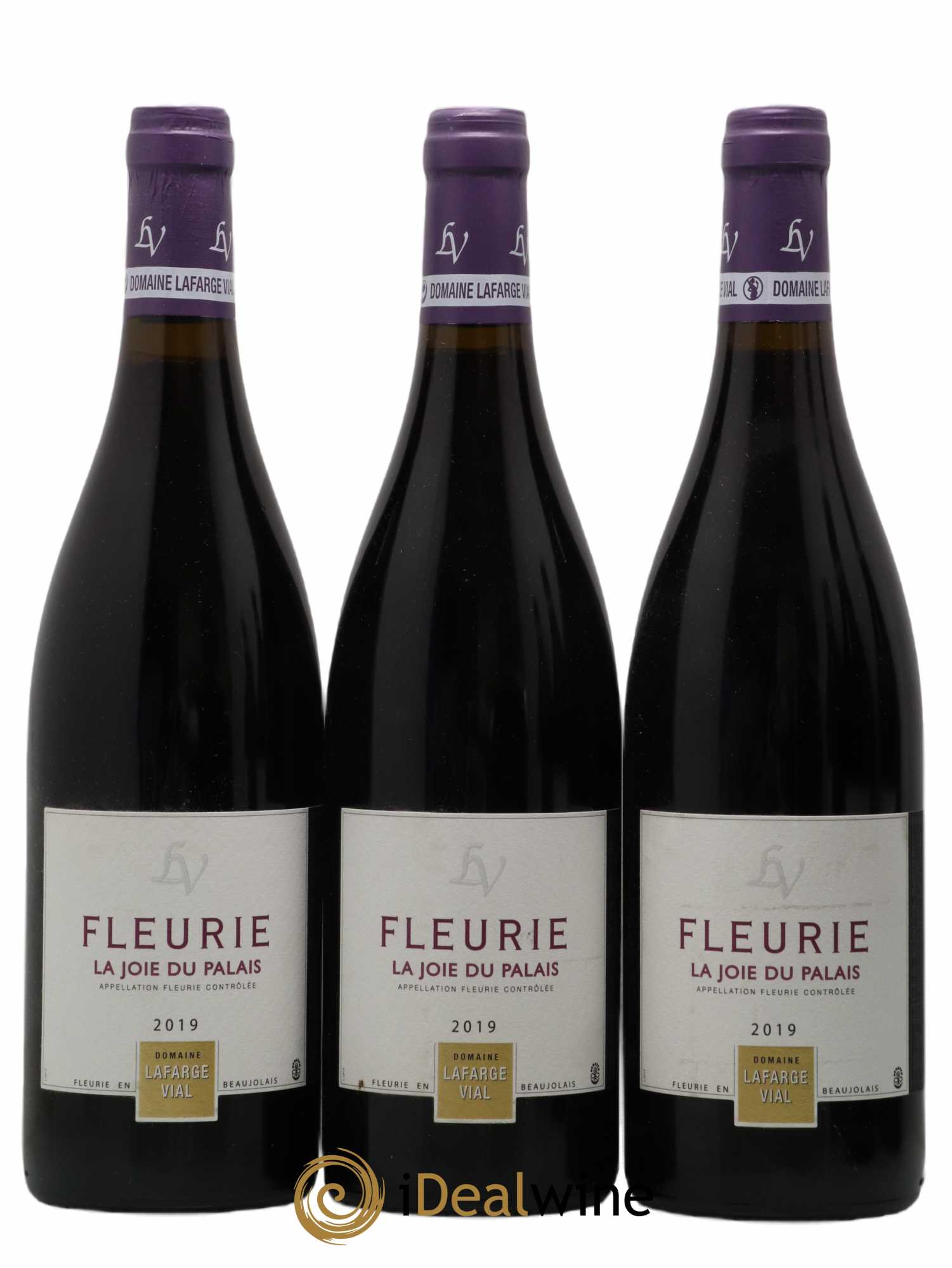 Fleurie (senza prezzo di riserva) 2019 - Lotto di 6 bottiglie - 1