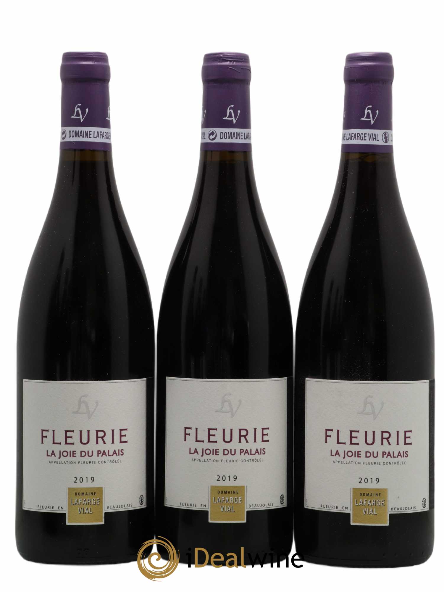 Fleurie (senza prezzo di riserva) 2019 - Lotto di 6 bottiglie - 2
