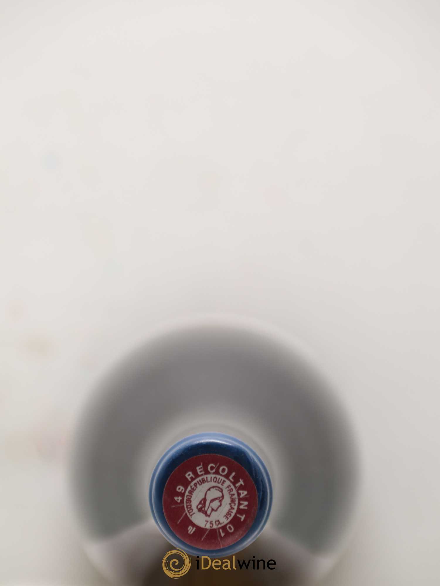 Vin de France Les Nourrissons Stéphane Bernaudeau 2018 - Lot de 2 bouteilles - 1