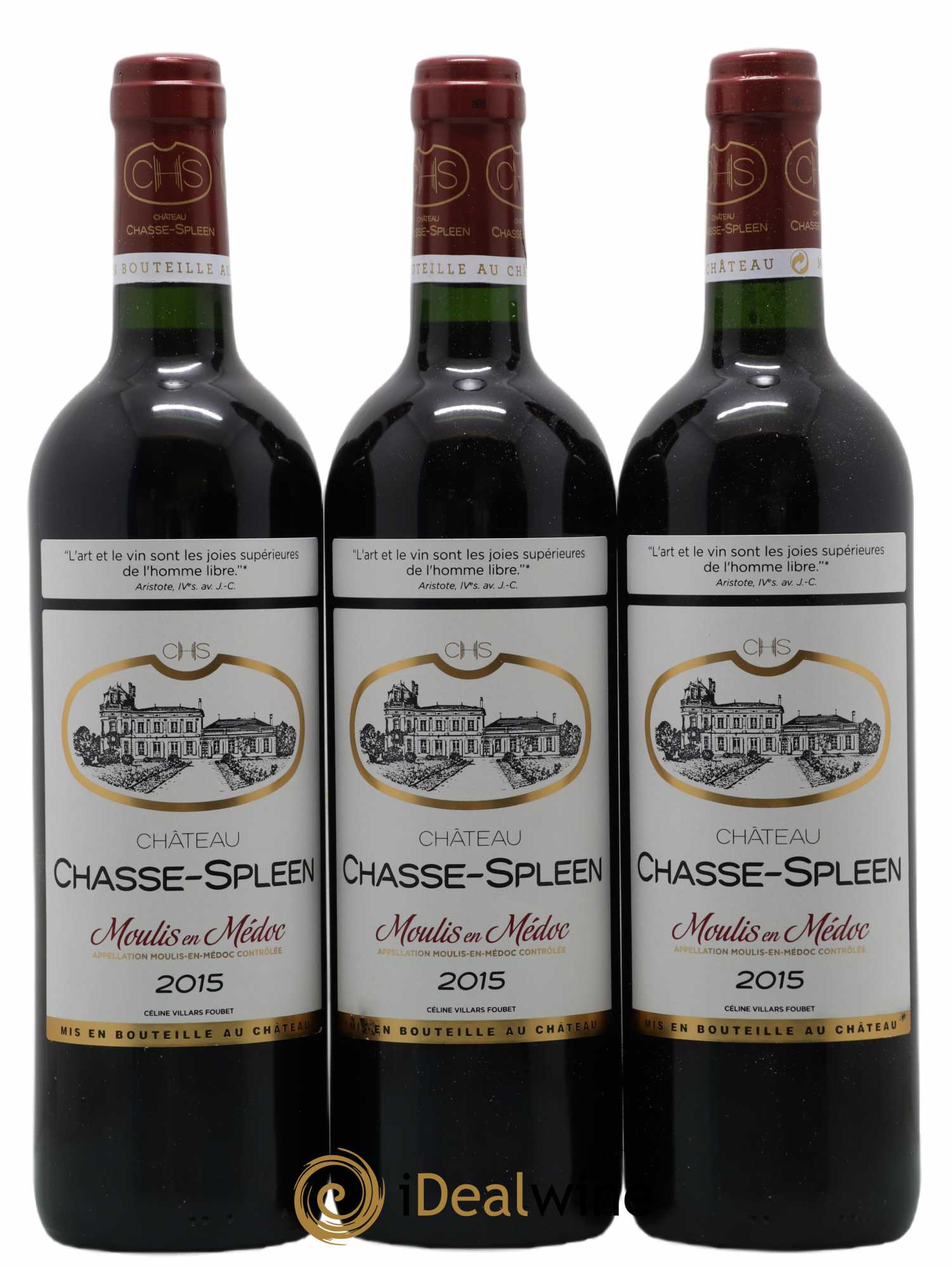 Château Chasse Spleen 2015 - Lot de 12 bouteilles - 4