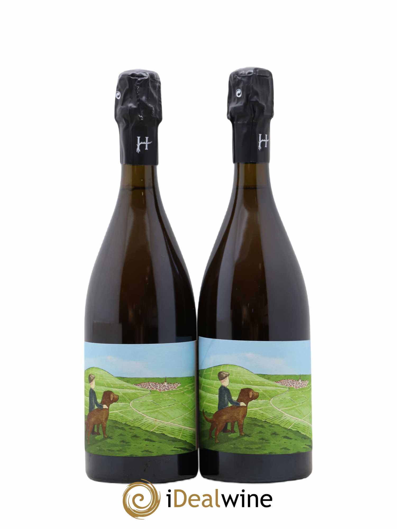 Gamin du Terroir Romain Henin - Lot de 2 bouteilles - 0