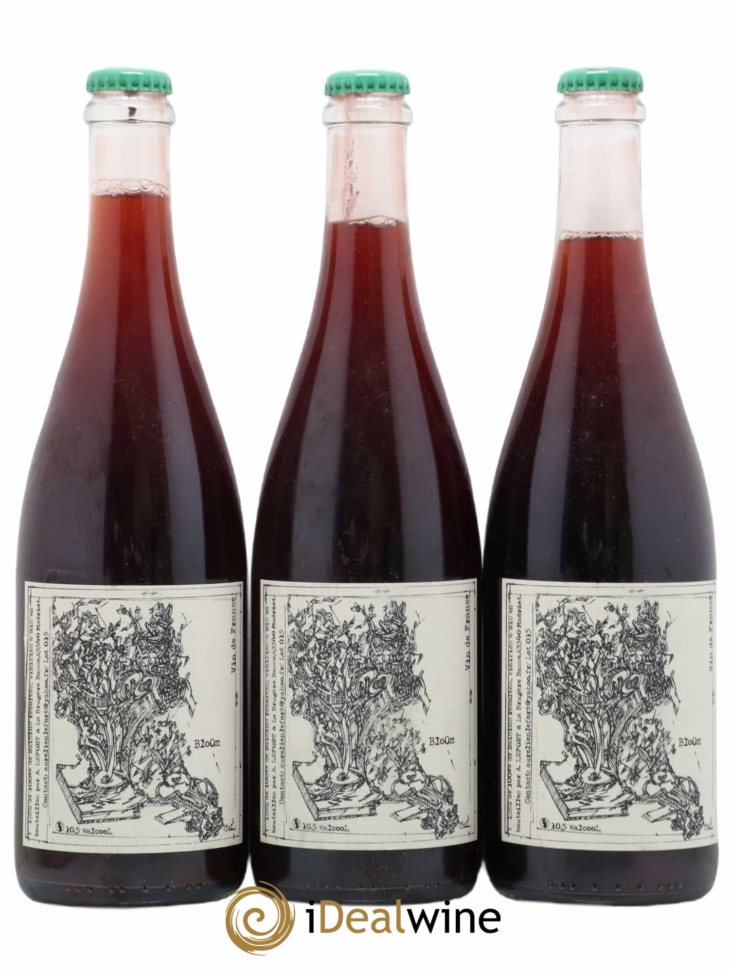 Vin de France Bloom Aurelien Lefort 2015 - Lot de 3 bouteilles - 0