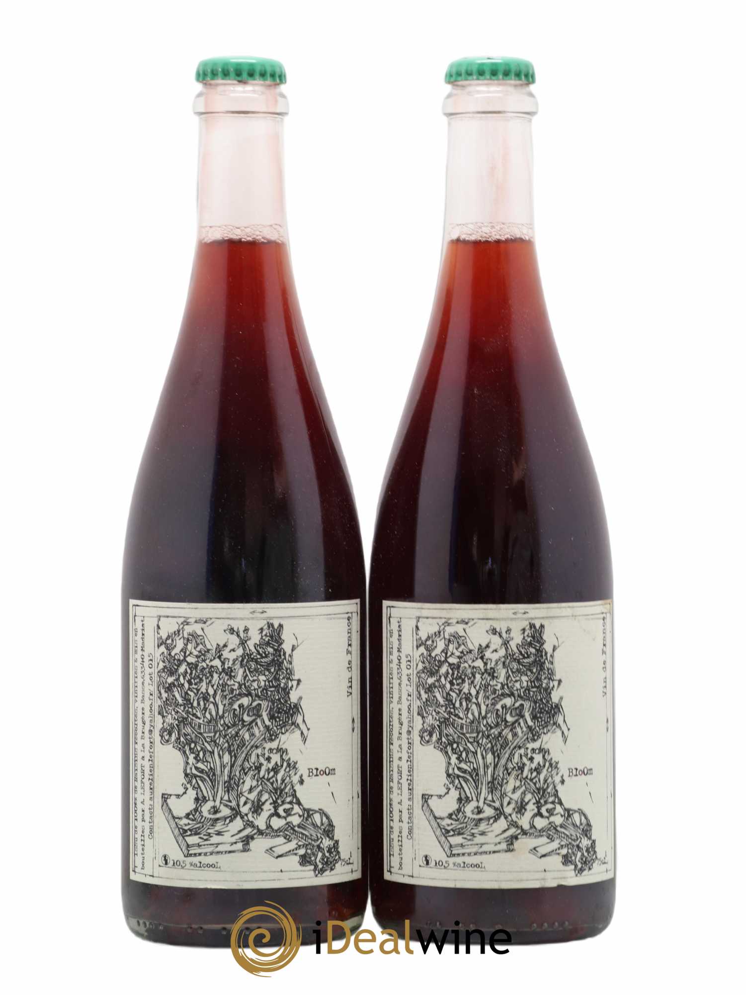 Vin de France Bloom Aurelien Lefort 2015 - Lot de 2 bouteilles - 0