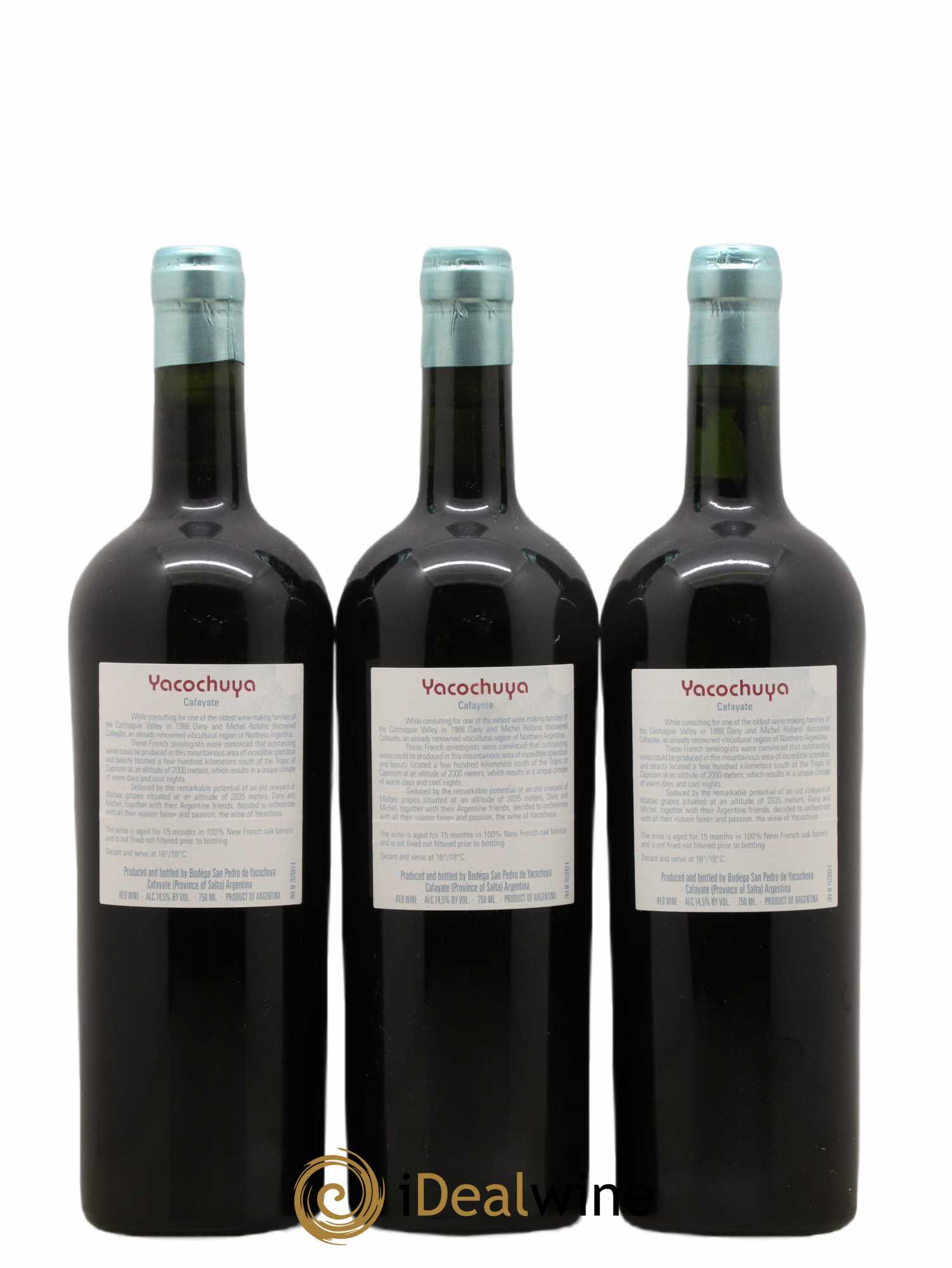 Vins Etrangers Argentine Cafayate Bodega San Pedro de Yacochuya Michel Rolland 1999 - Posten von 3 Flaschen - 1