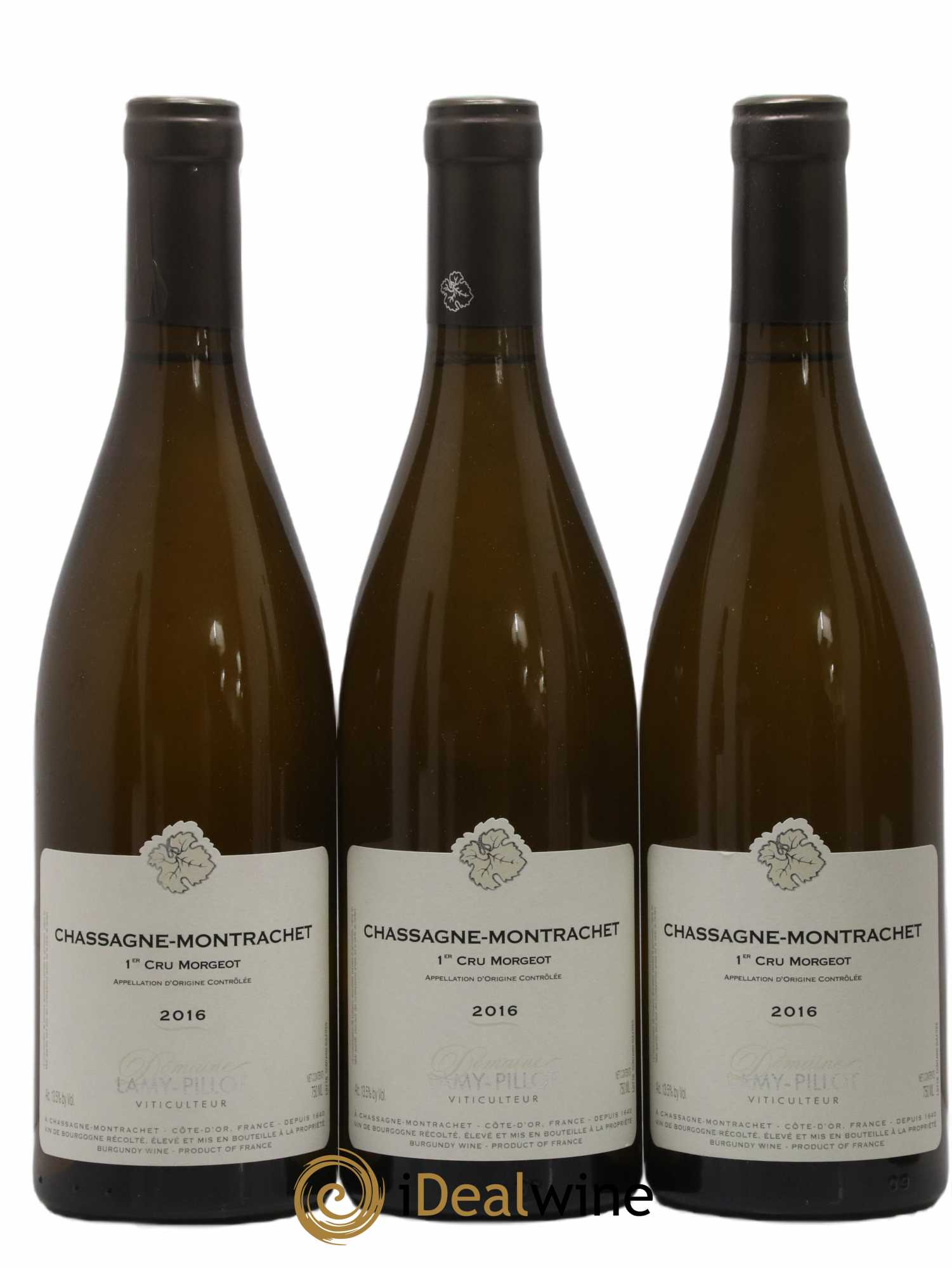 Chassagne-Montrachet 1er Cru Morgeot Lamy Pillot 2016 - Lot de 6 bouteilles - 1