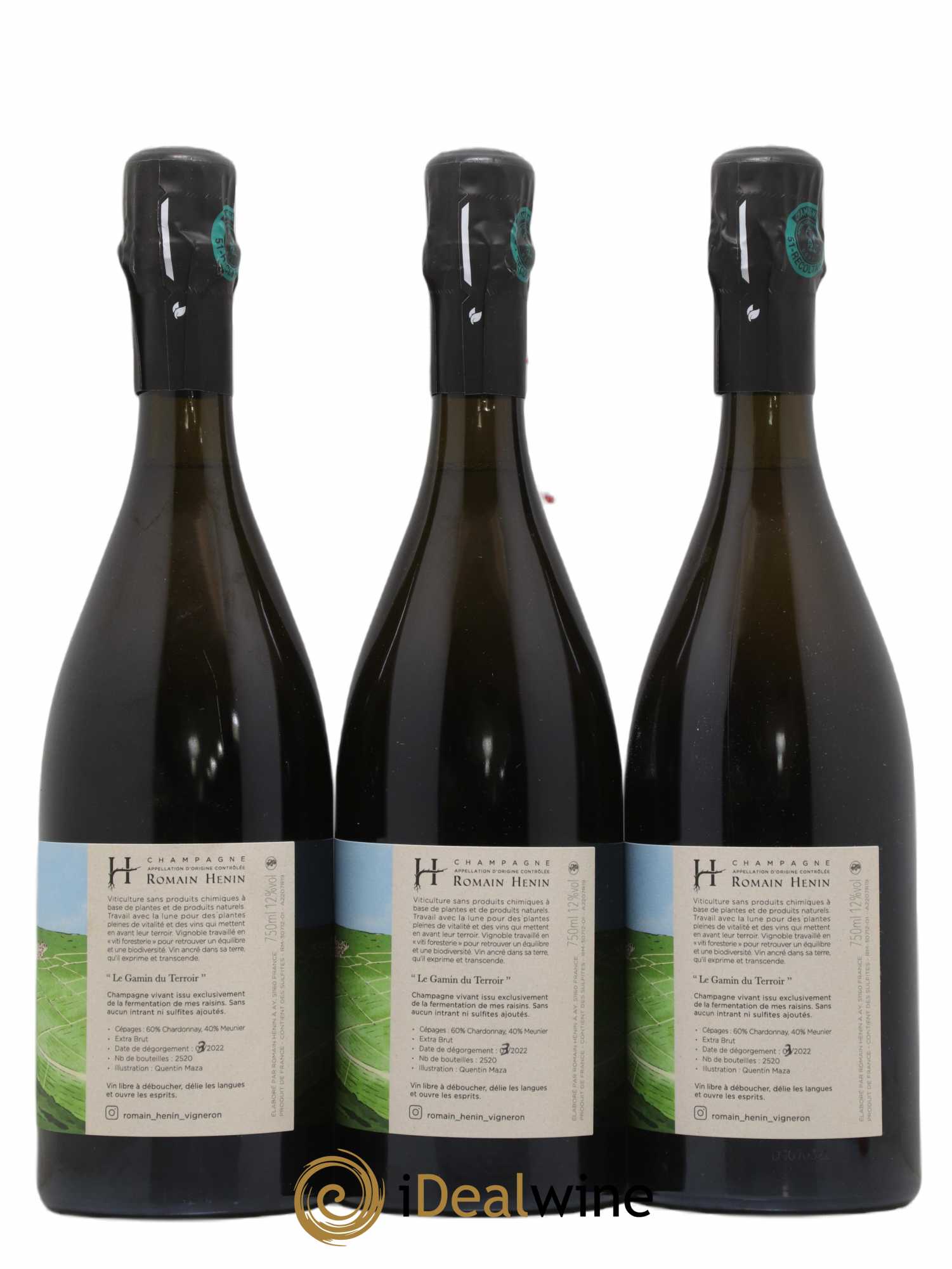 Gamin du Terroir Romain Henin Extra Brut - Lot of 3 bottles - 1