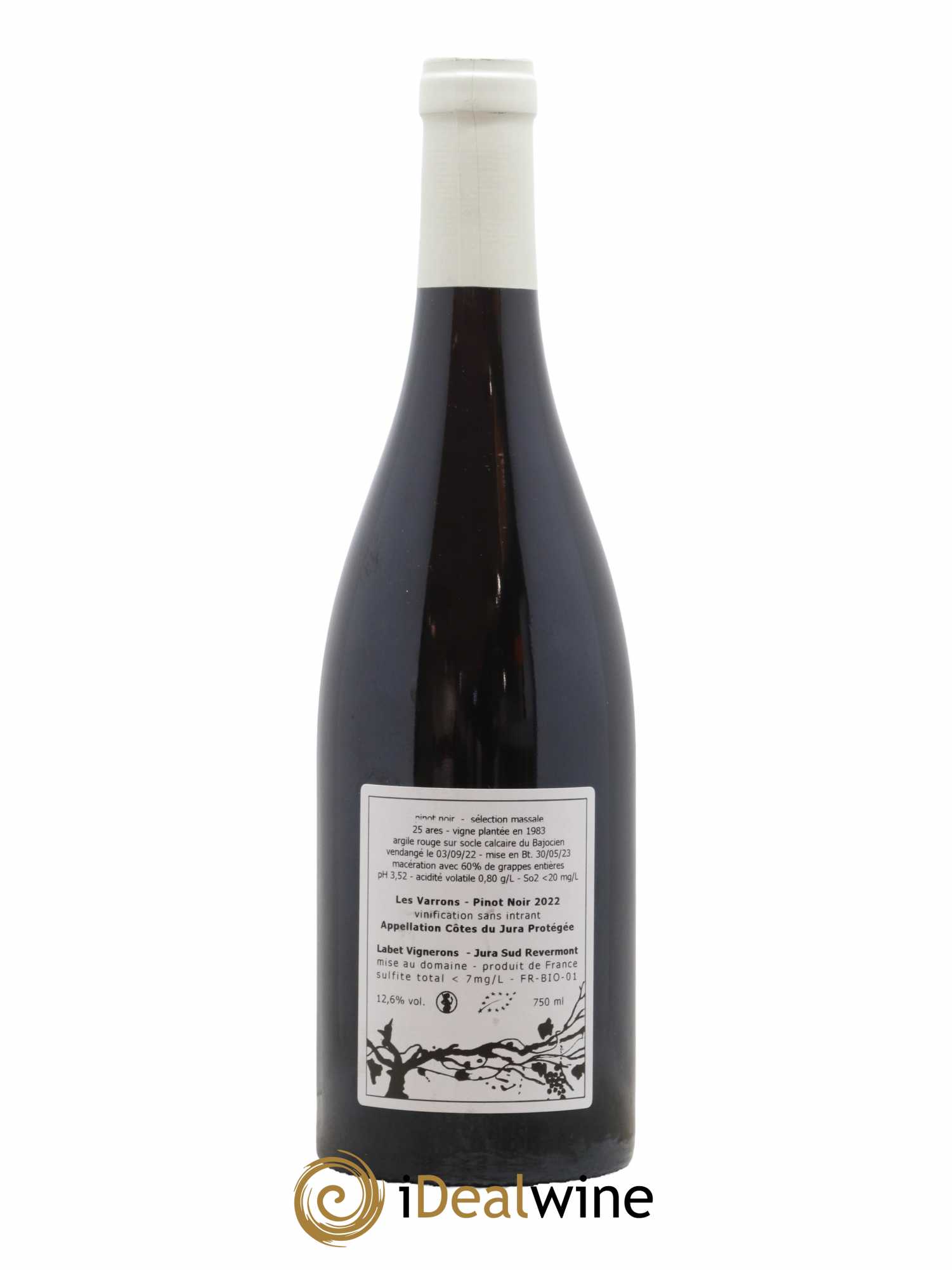Côtes du Jura Pinot Noir Les Varrons Sélection Massale Romain - Julien - Charline Labet sélection massale 2022 - Lot de 1 bouteille - 1